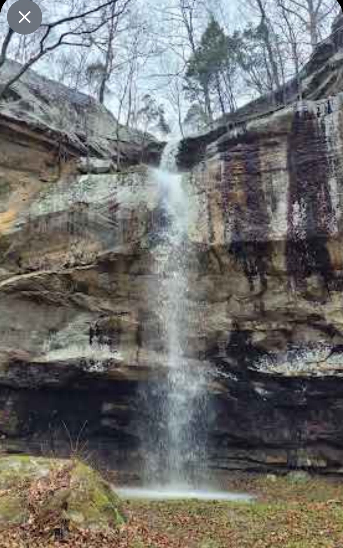 Tar Springs 2