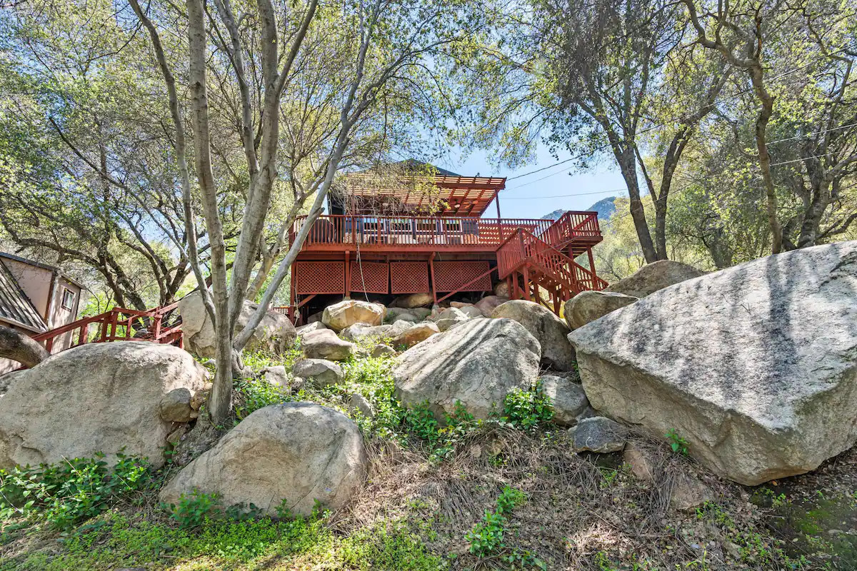 Tiny House / Harry Potter Treehouse