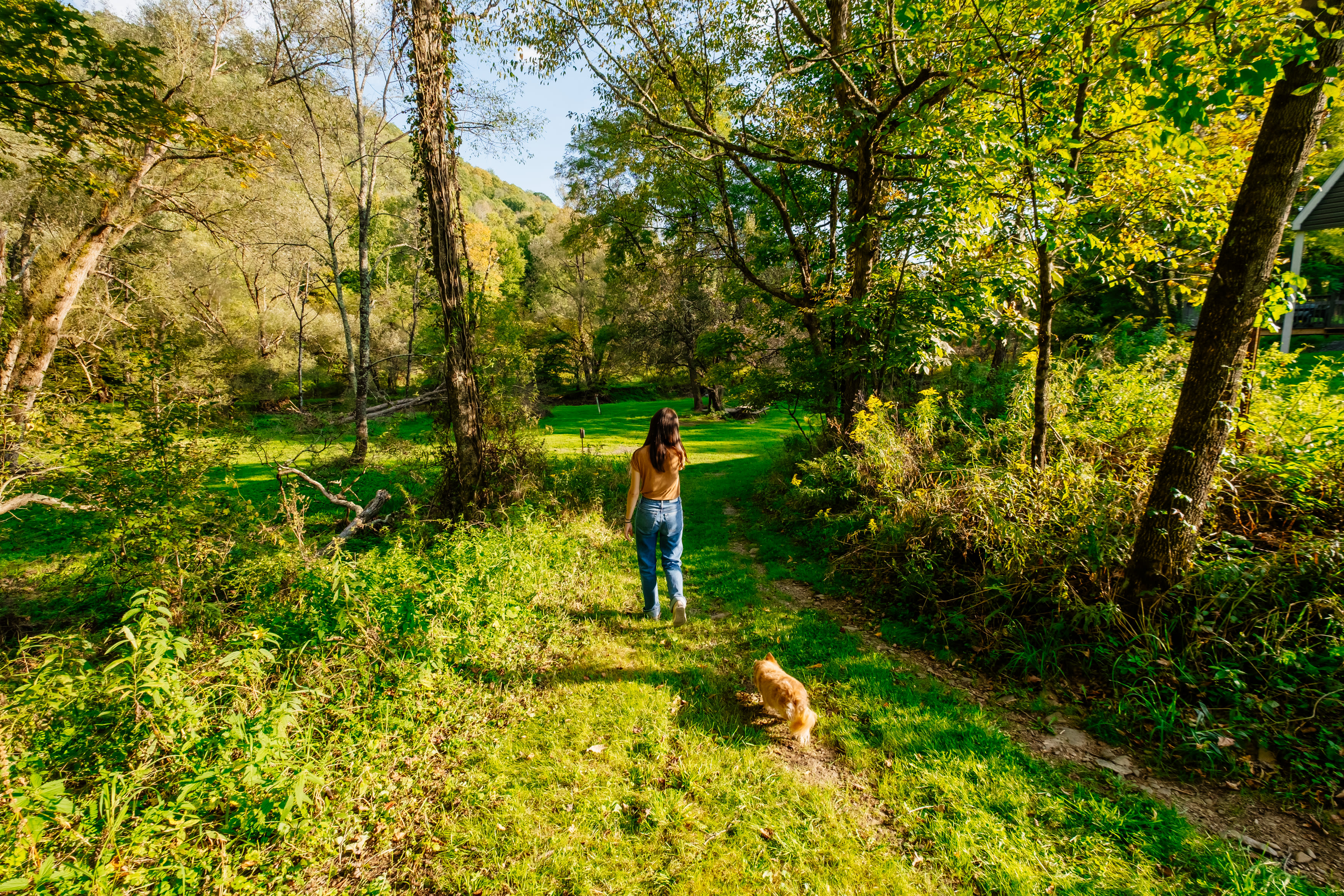 The pups loved the walking paths around the property.