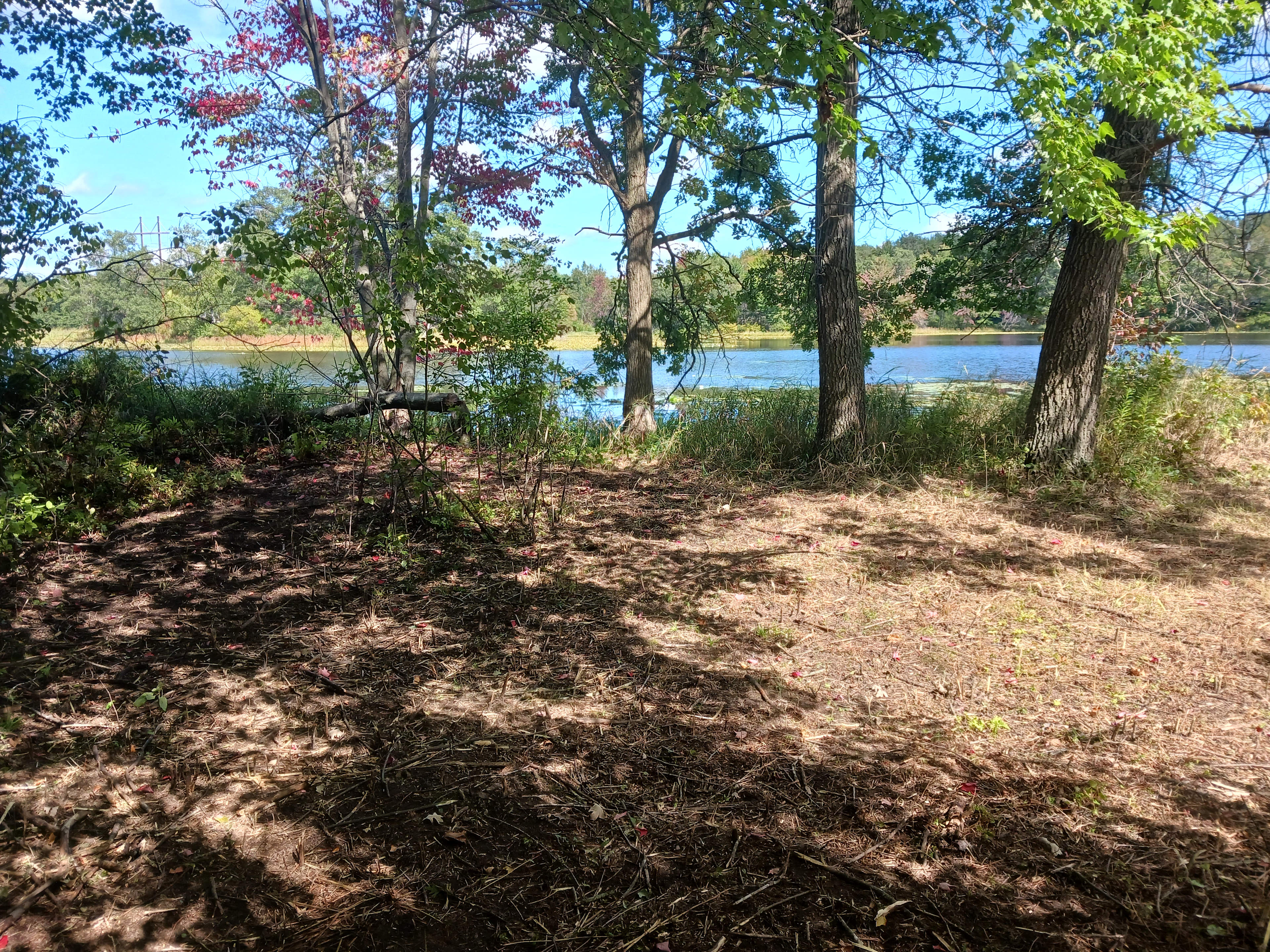 Lake Tommy Homestead