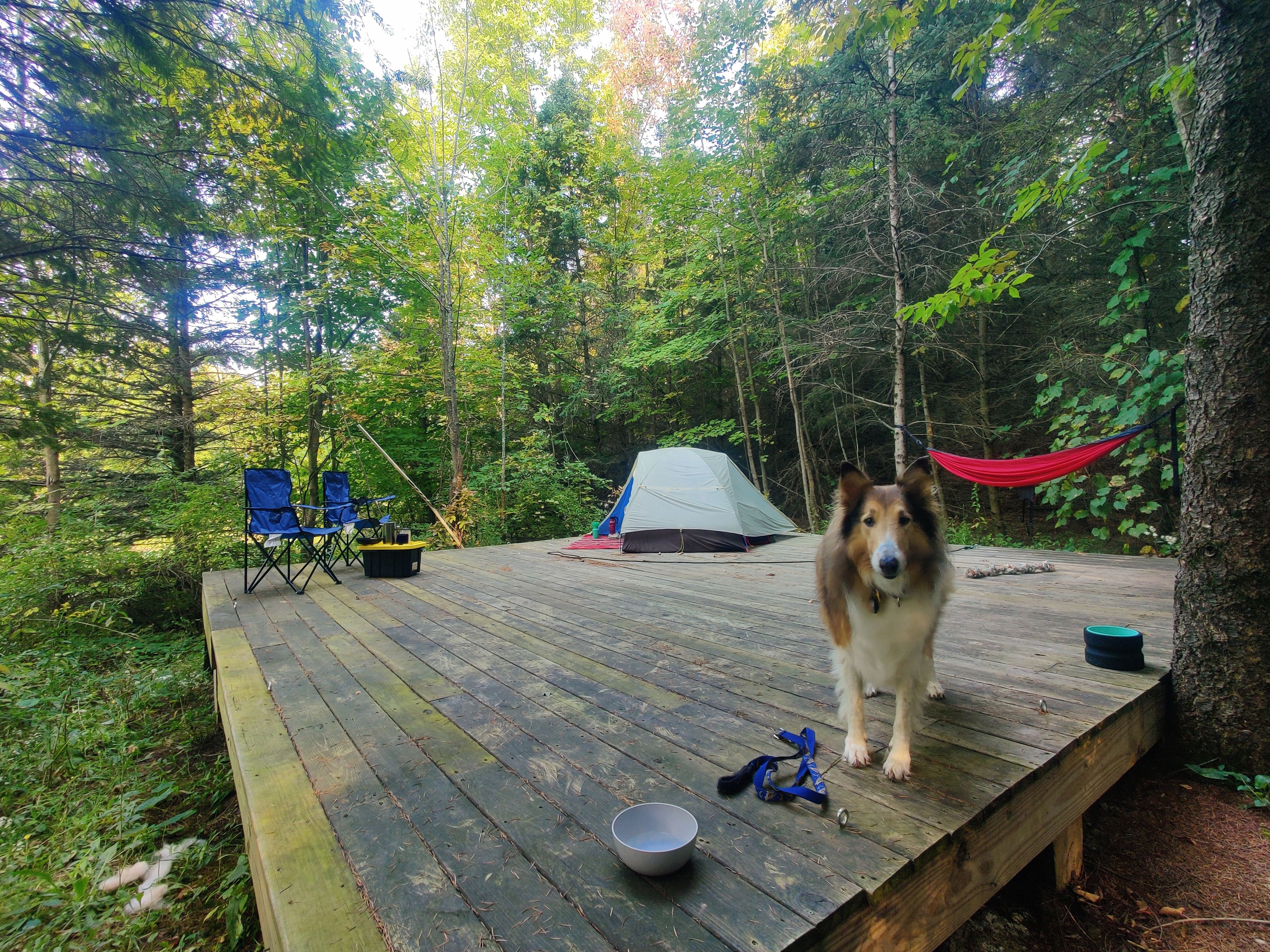 Mansion of a tent platform!