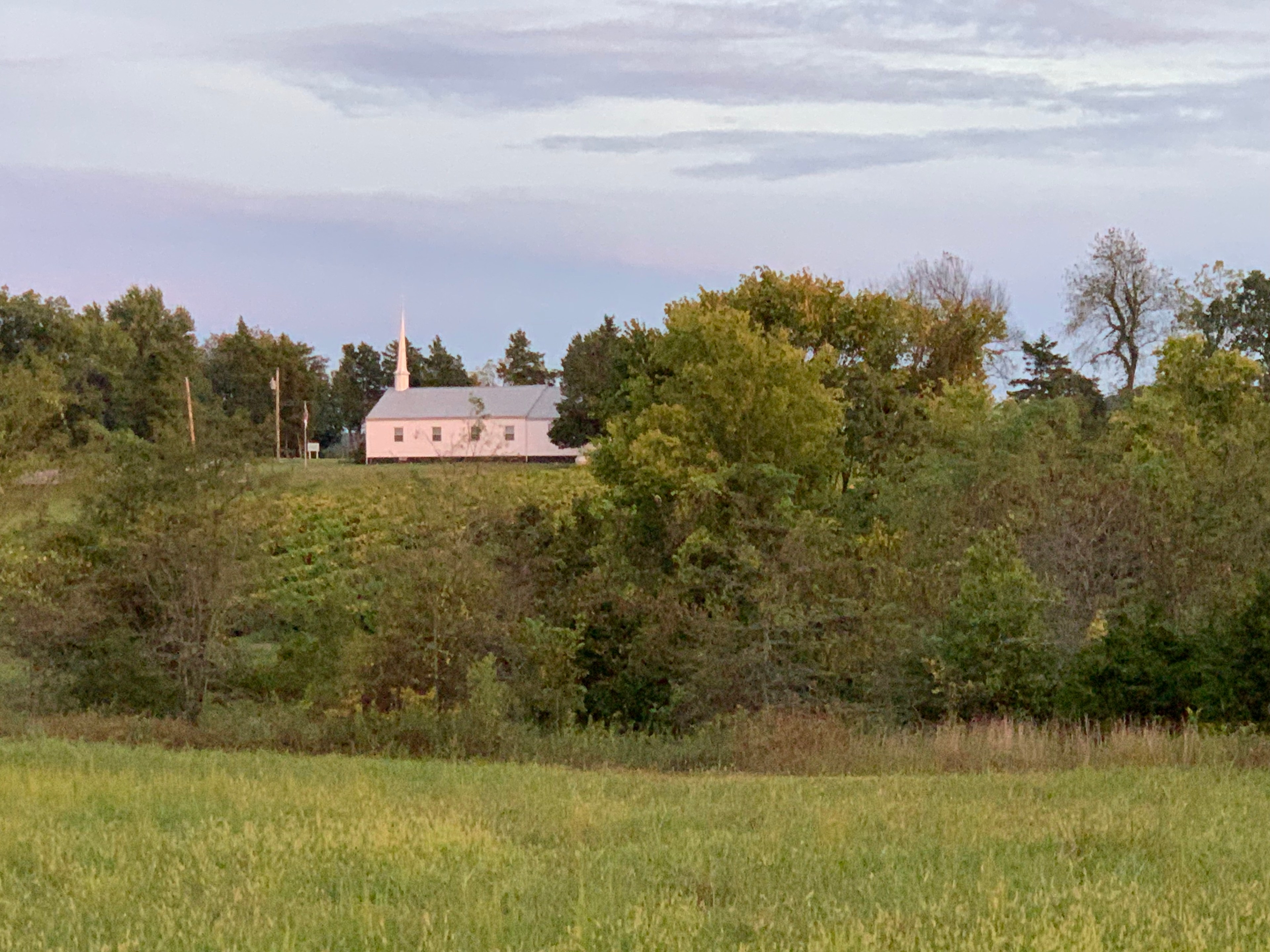 Monarch Hill Vineyard