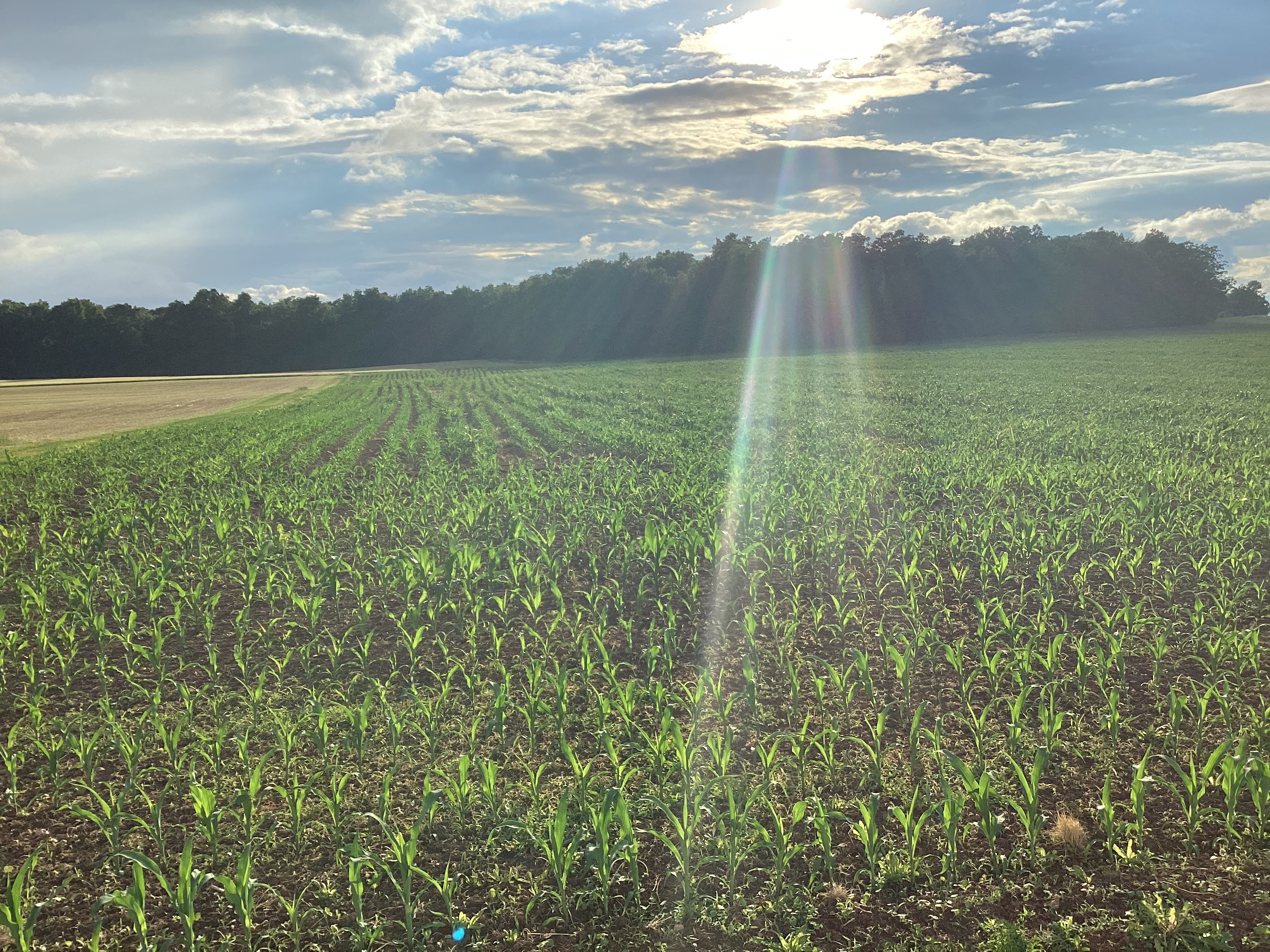The Farm RV and Camper Parking