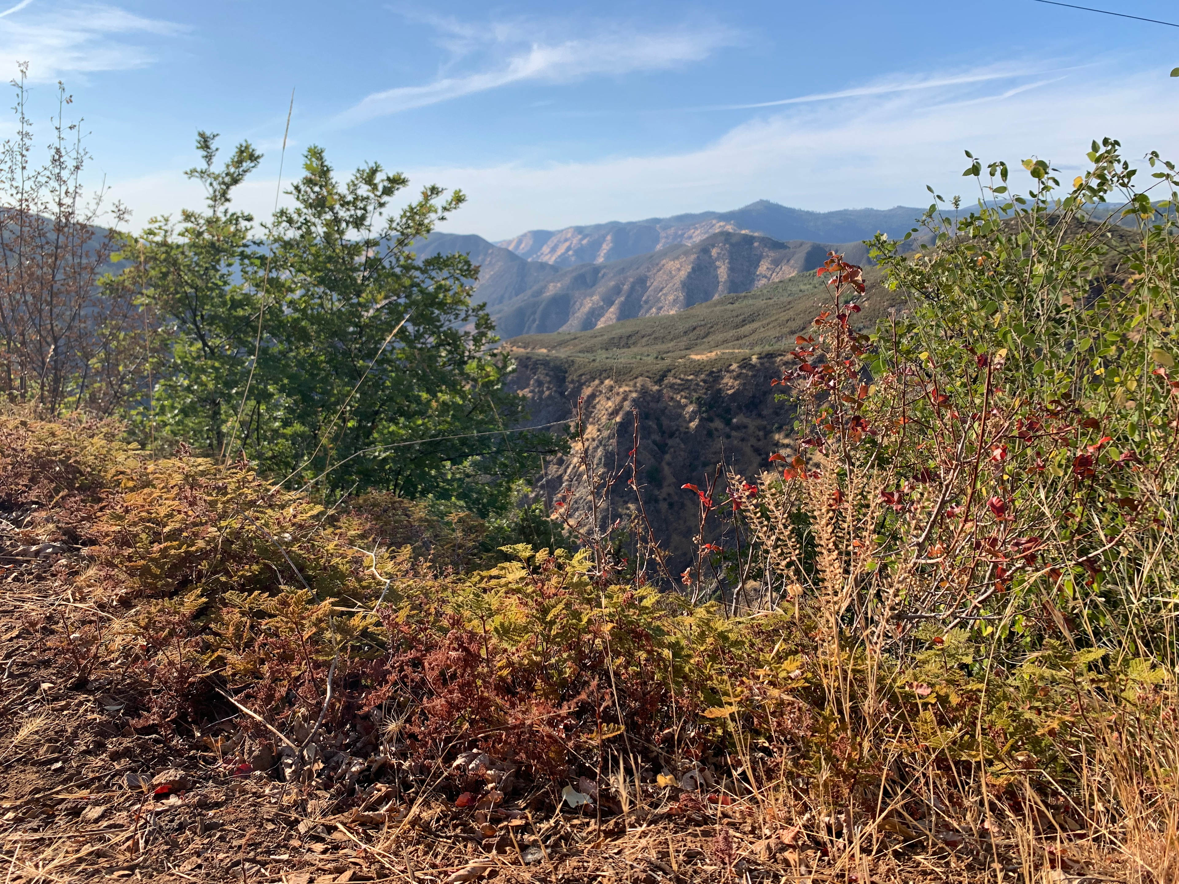 Yosemite Colfax Spring
