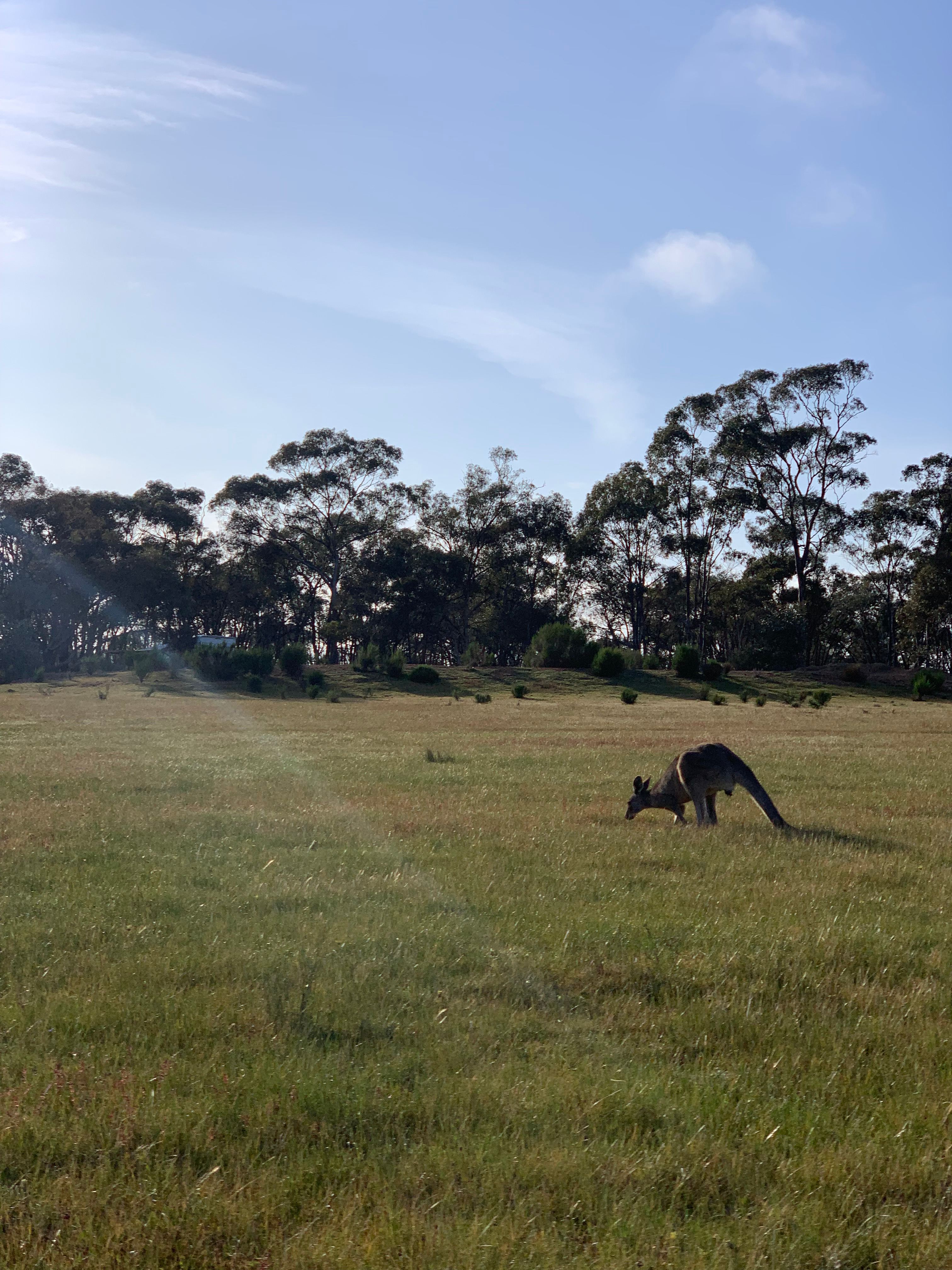 Somerville Park   (Bendigo)