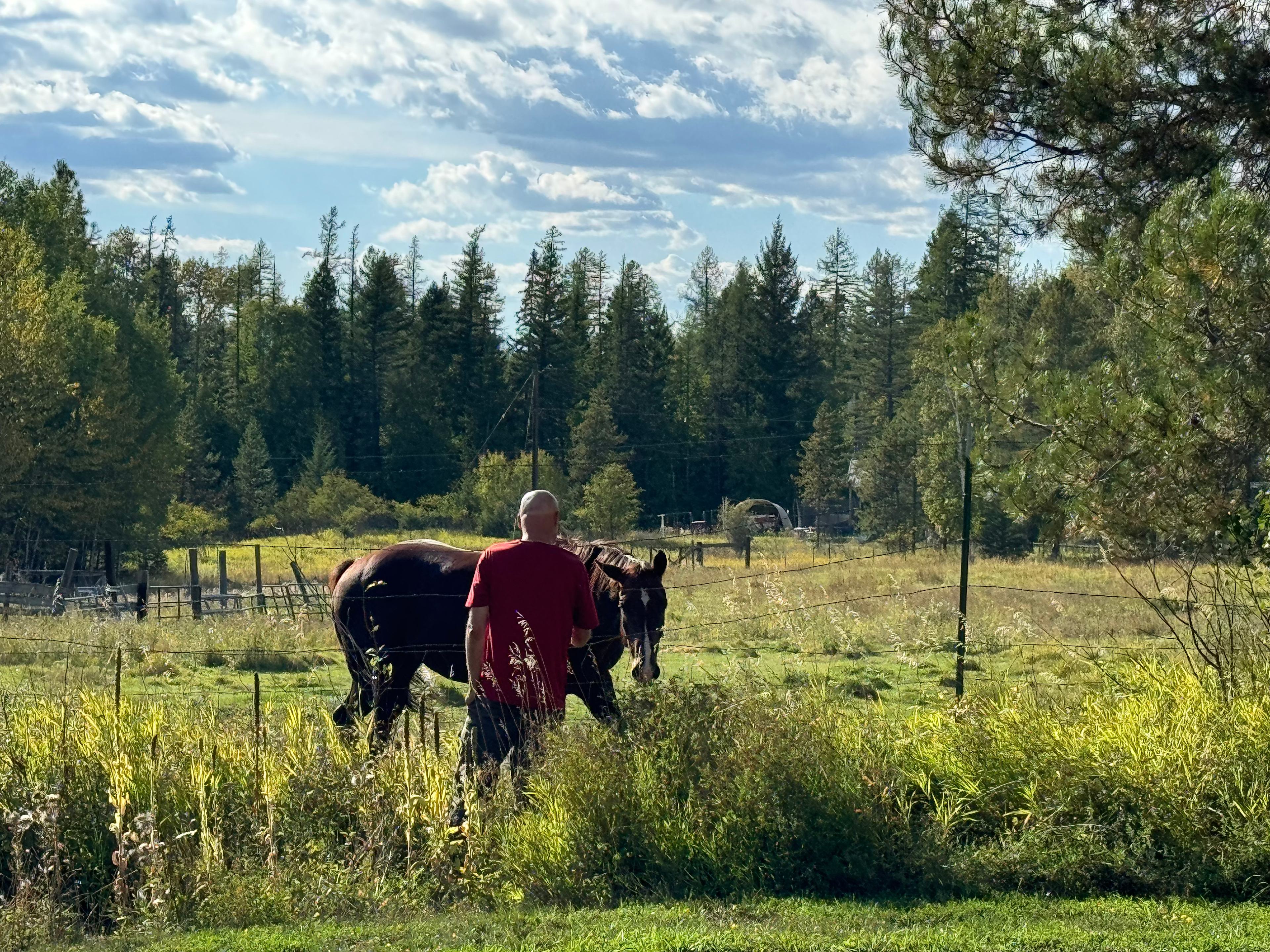 Malarky's Meadow RV spot