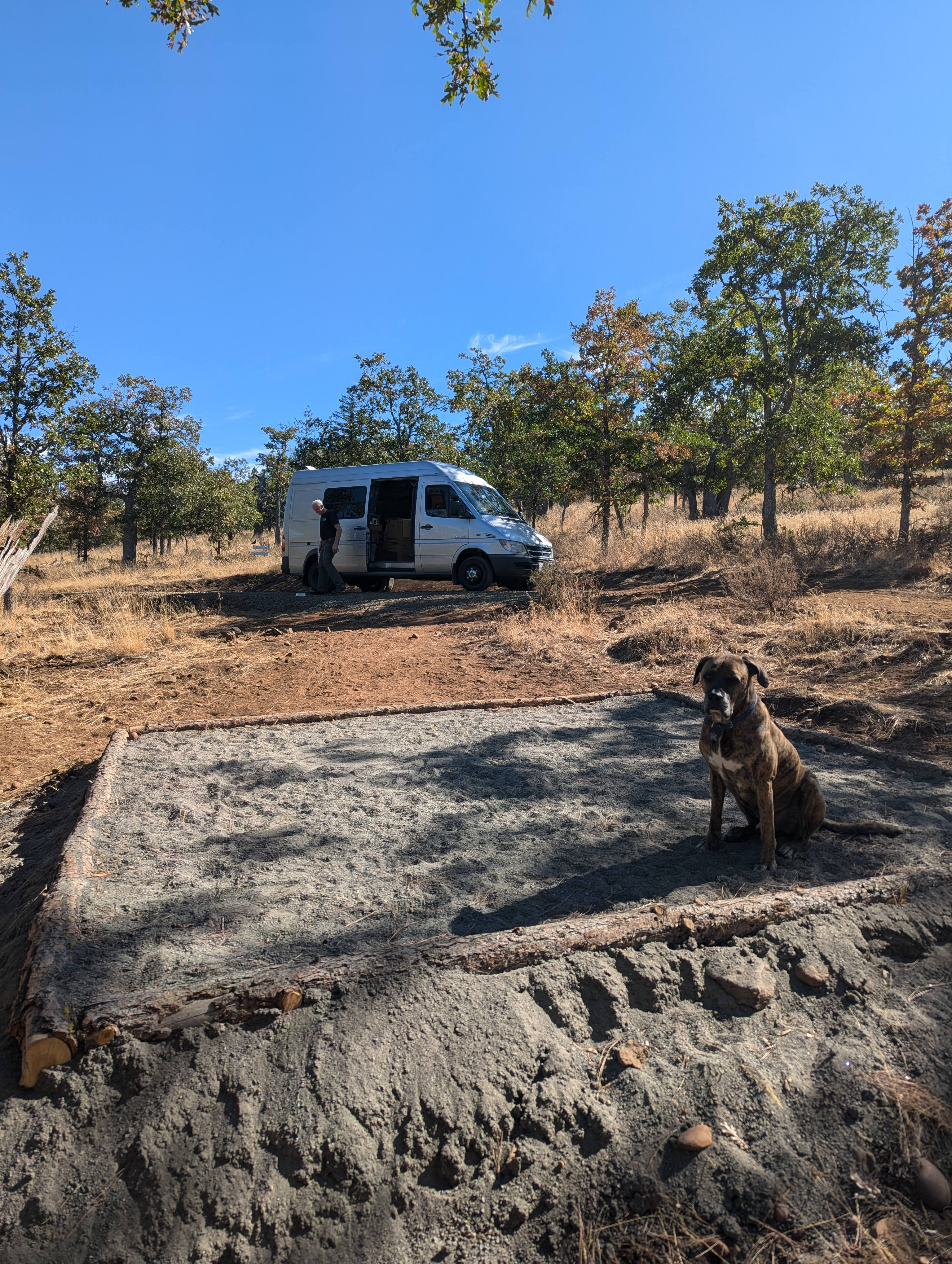 Cat's Forest Retreat