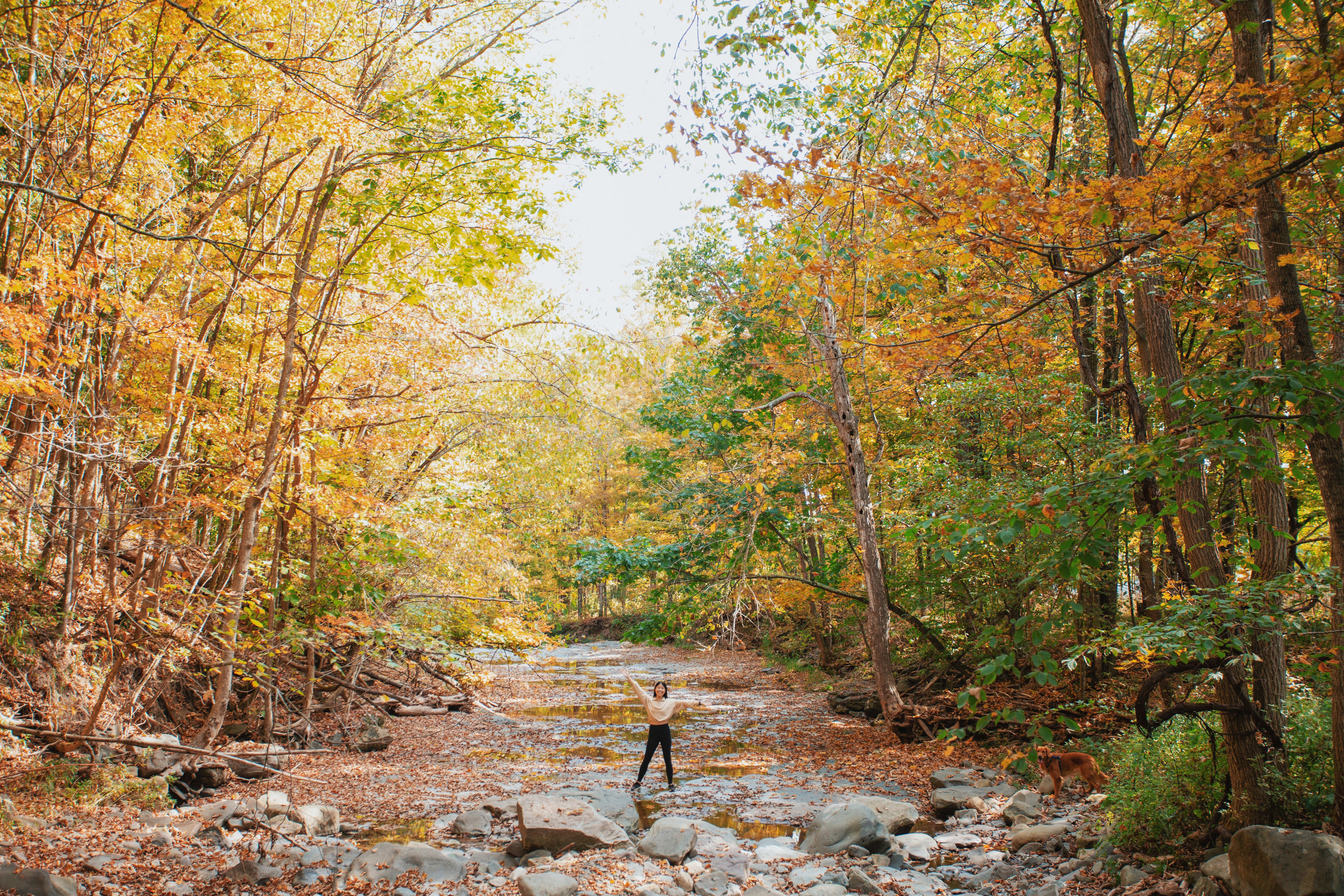 Locust Grove Waterfall