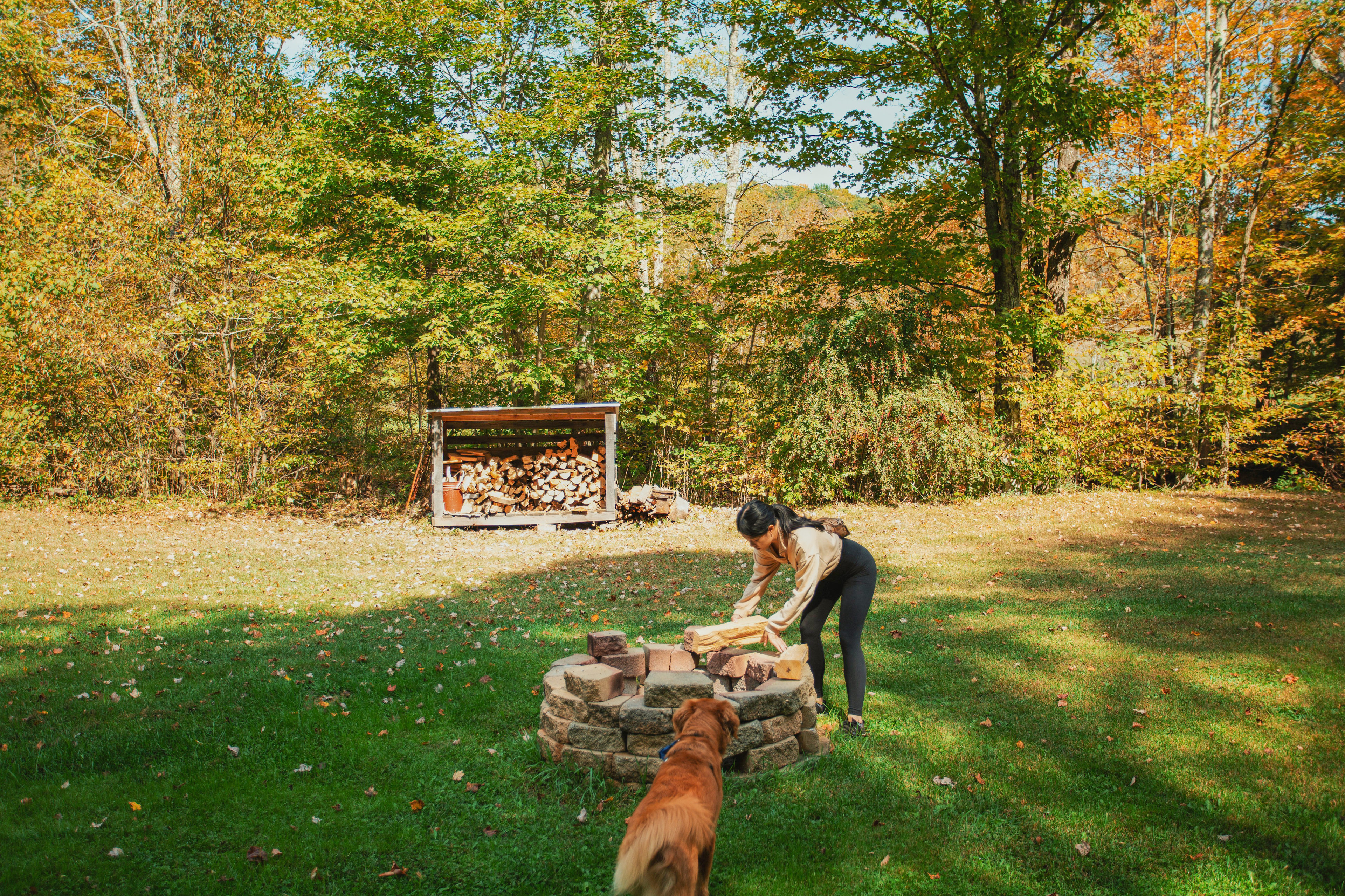 Bearkill Brook Campsite