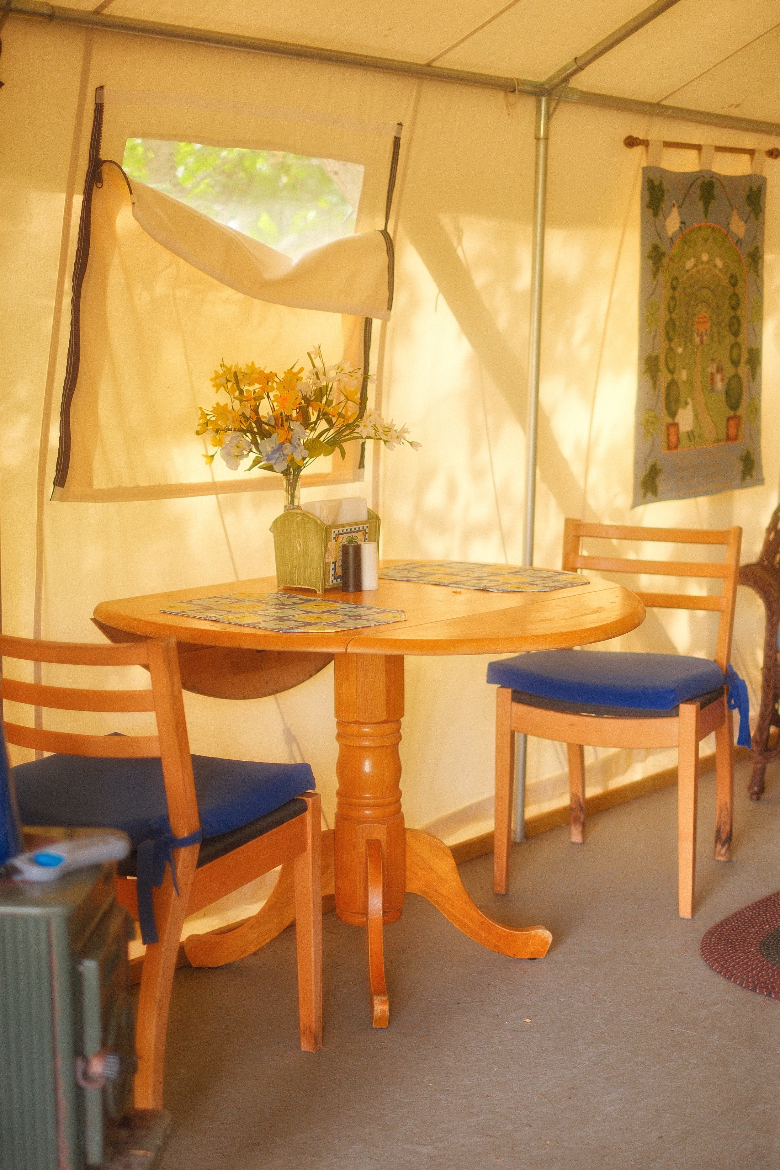 BrandiLee Woods at the Woolley farm