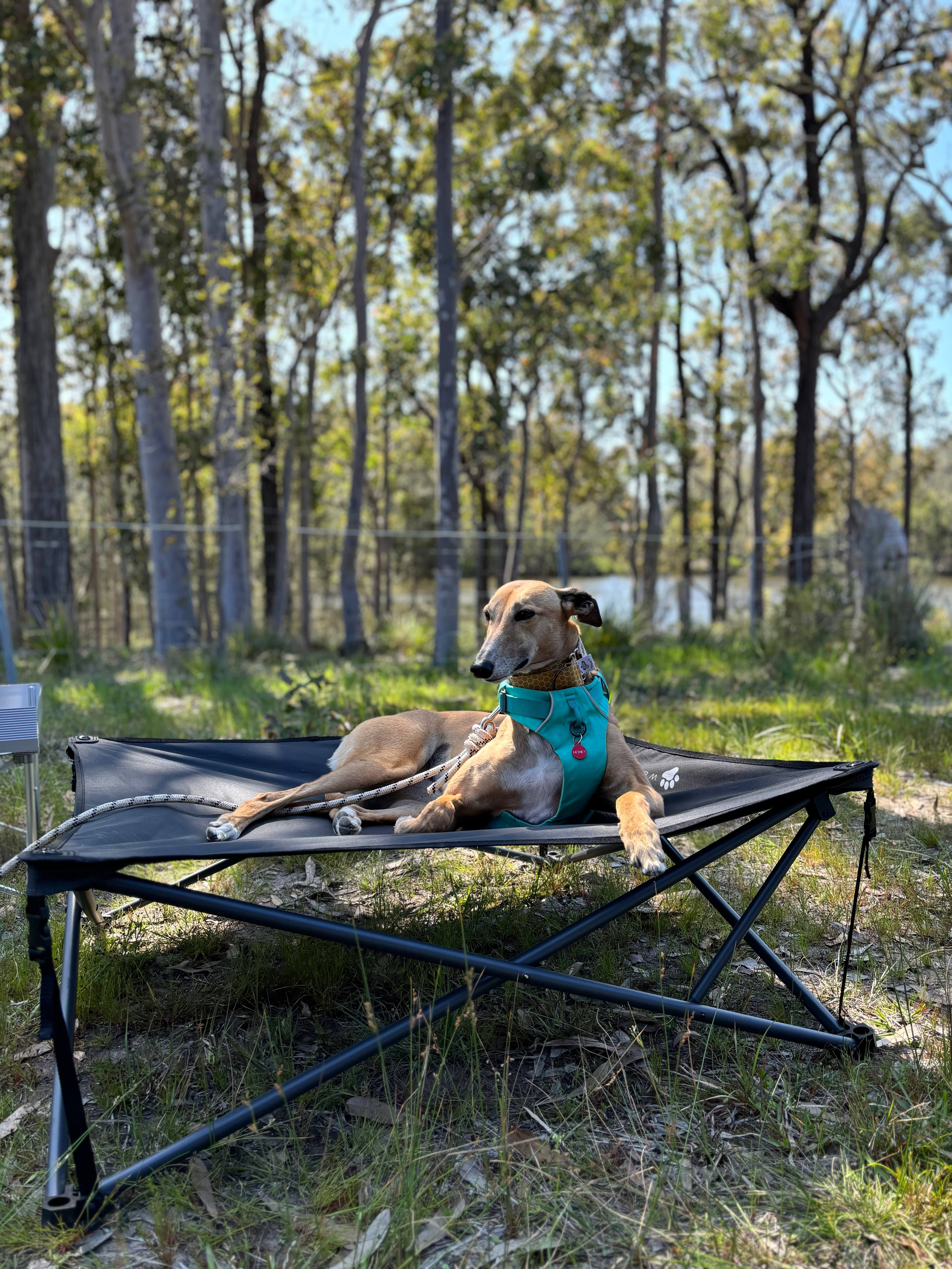 The Branch River Retreat