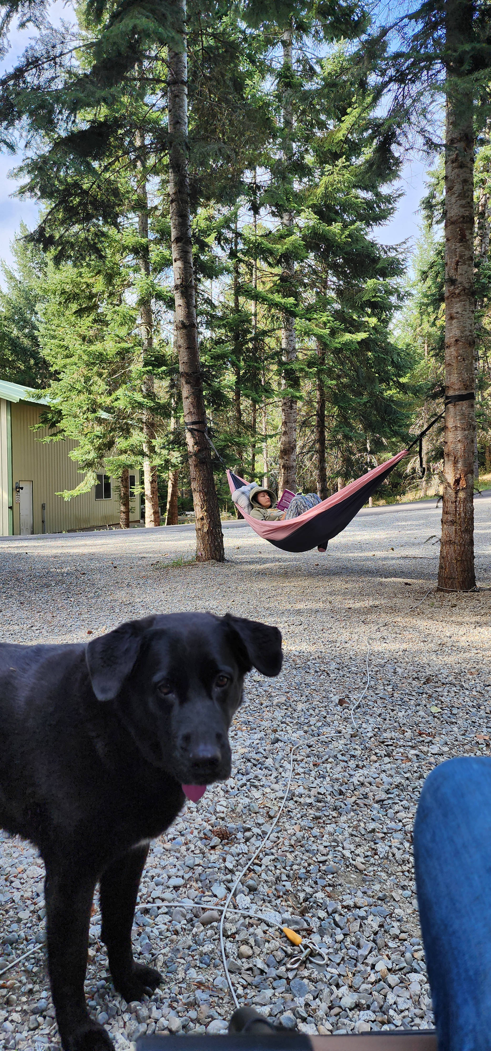The Mad Moose Ranch