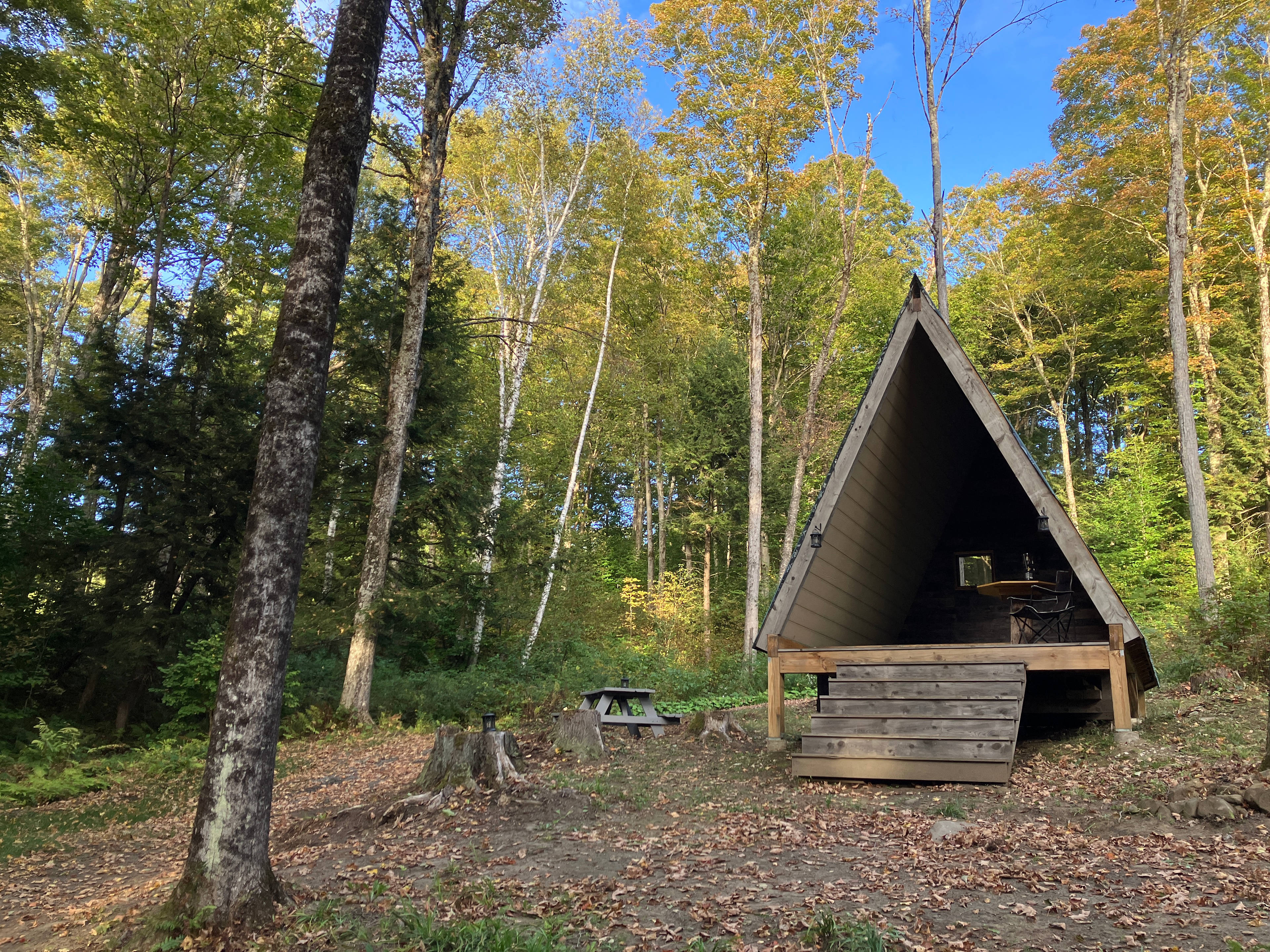 A-Frame Retreat In The Woods