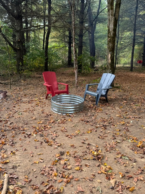 Peaceful Pines