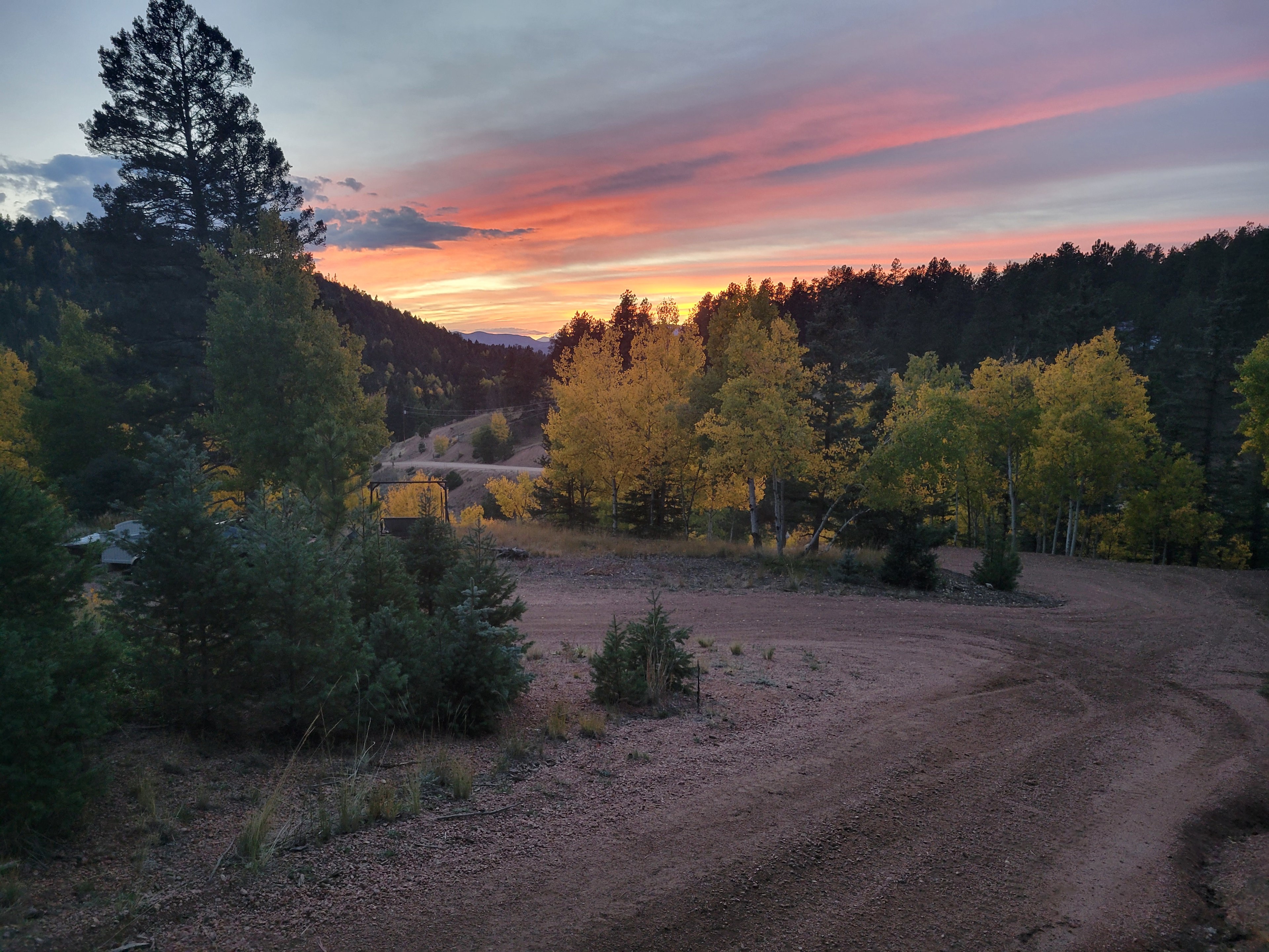 The Aspens are starting to change 