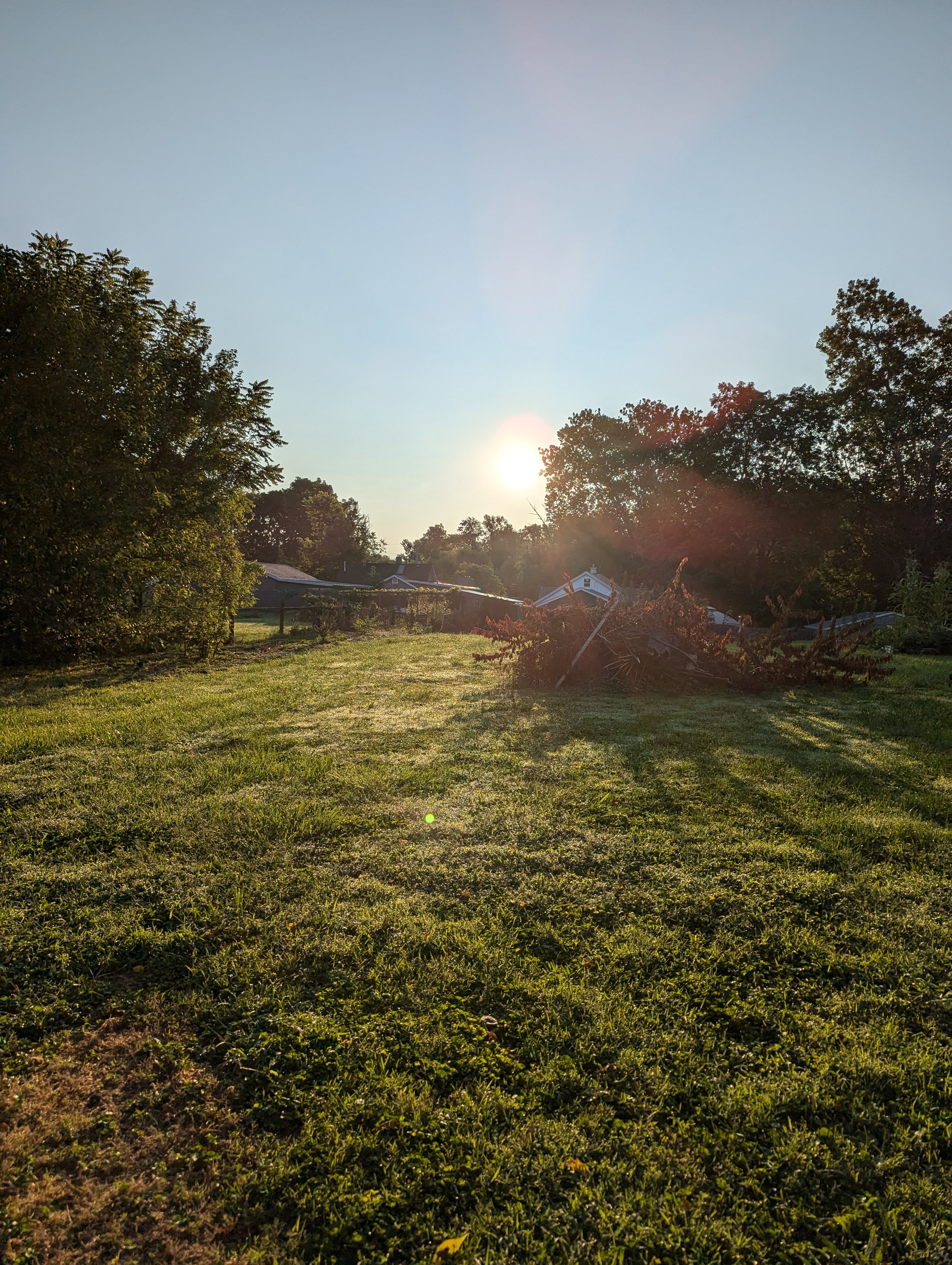 The Healing Hill Homestead