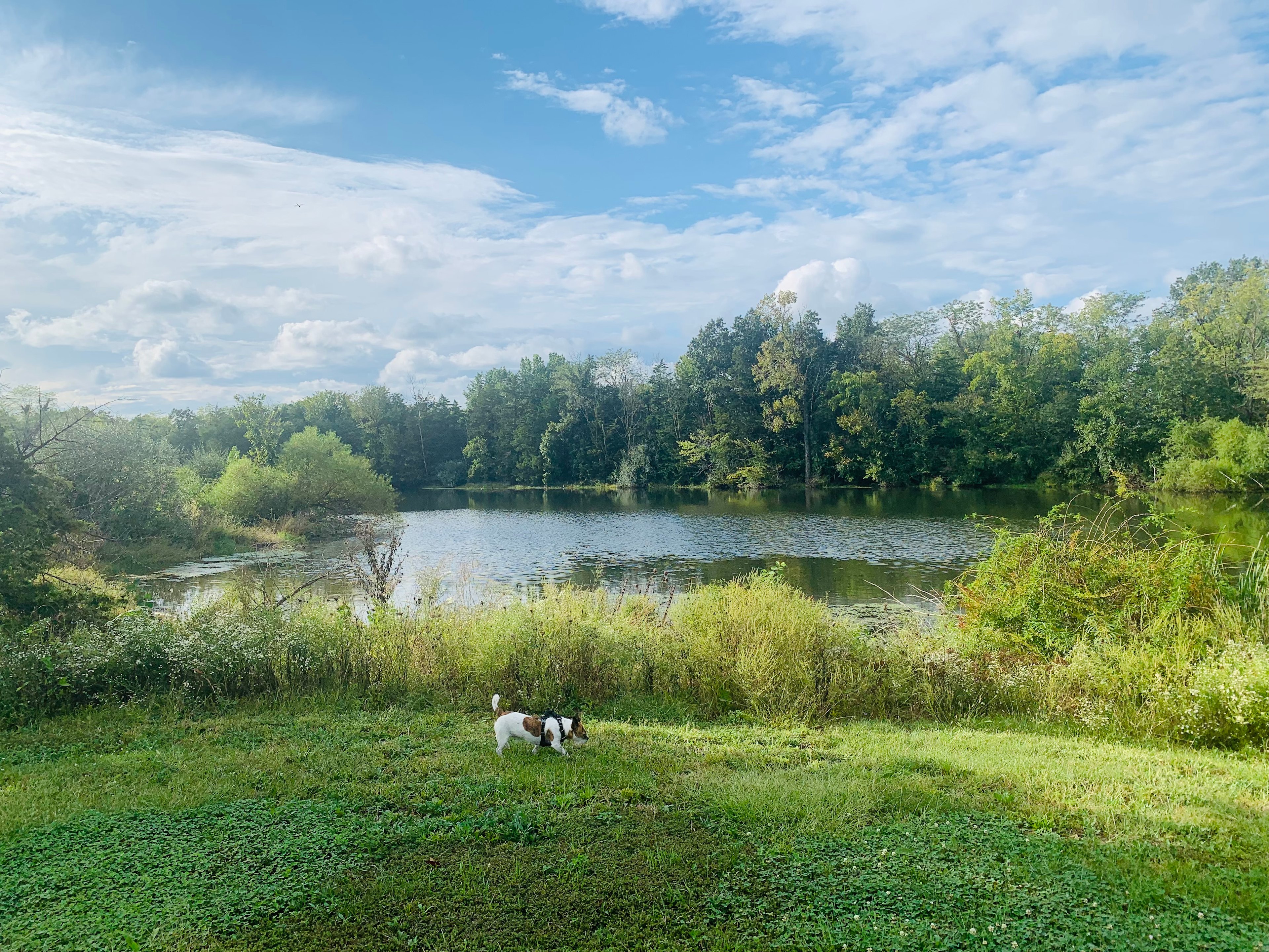 North Boone County Camp