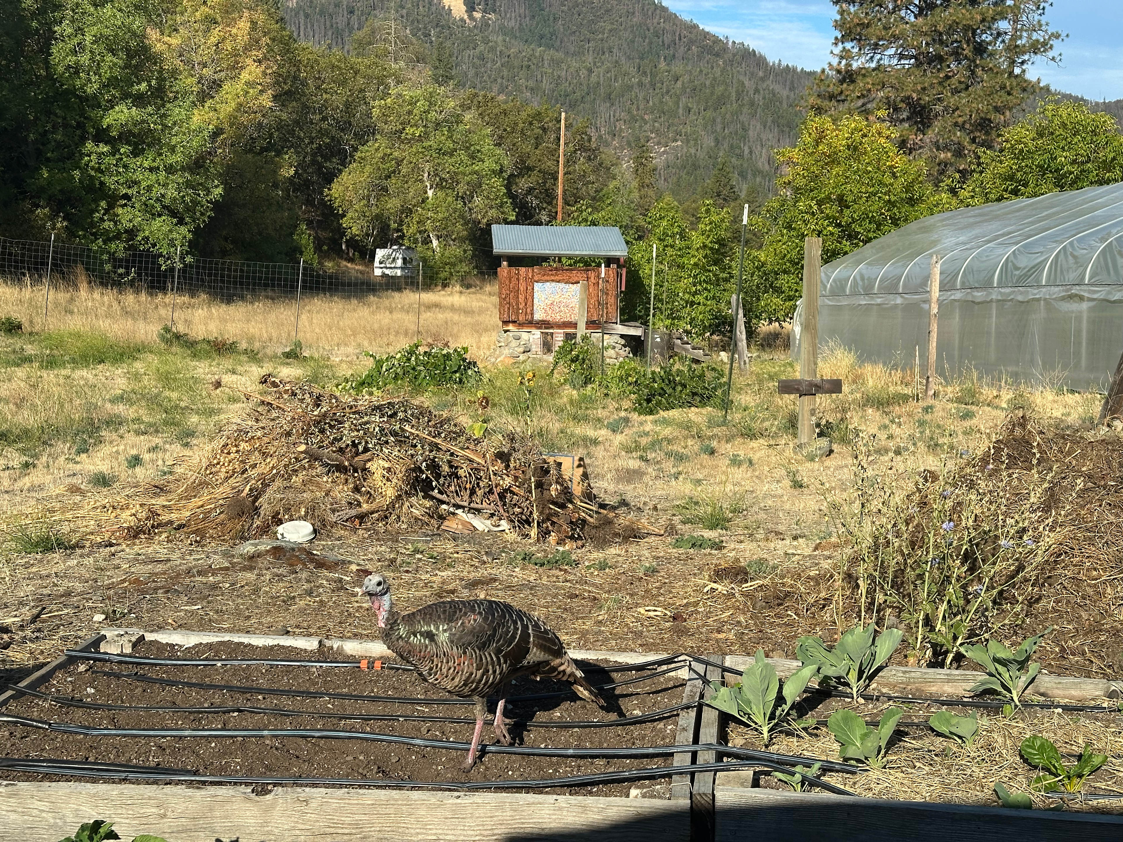 Sanctuary on the River!