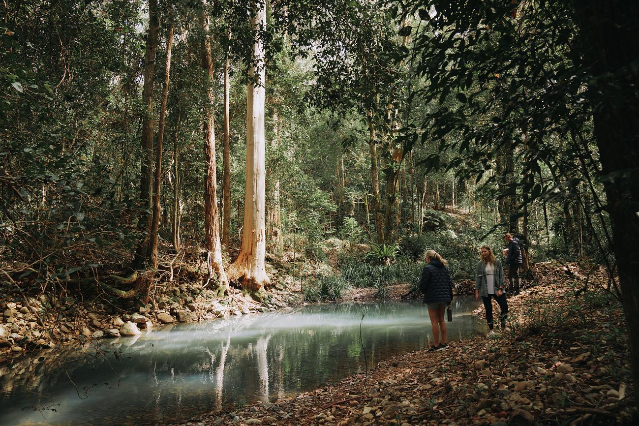 Carawirry Forest Escape