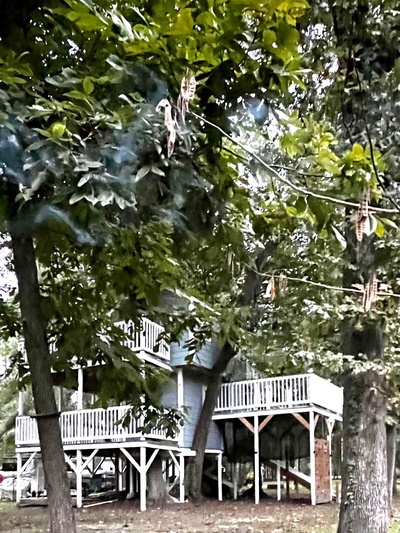 Three Story Hollywood Treehouse