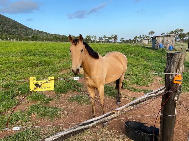 Pegasus Horse Park and Farm-stay