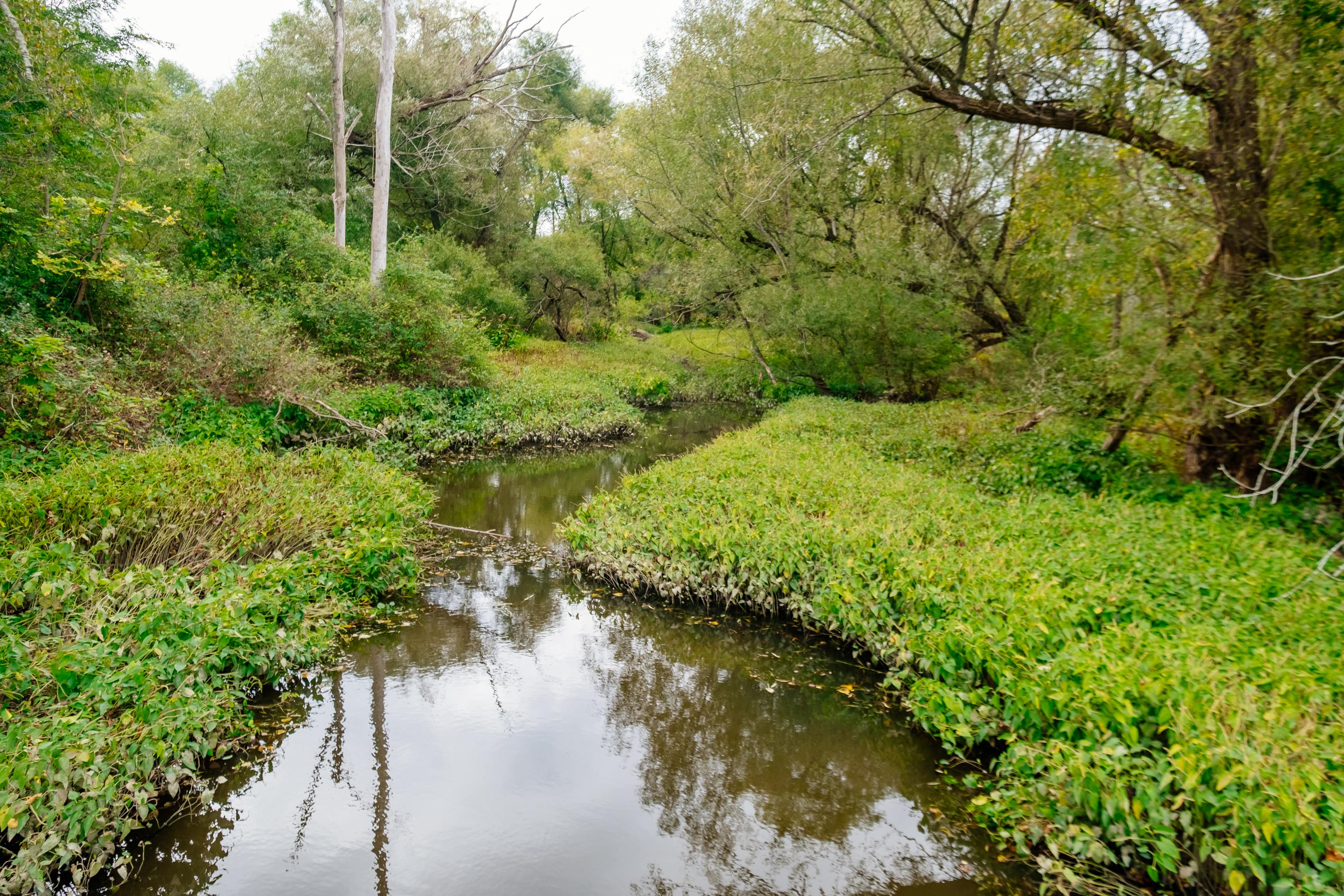 Creek that runs along the property.