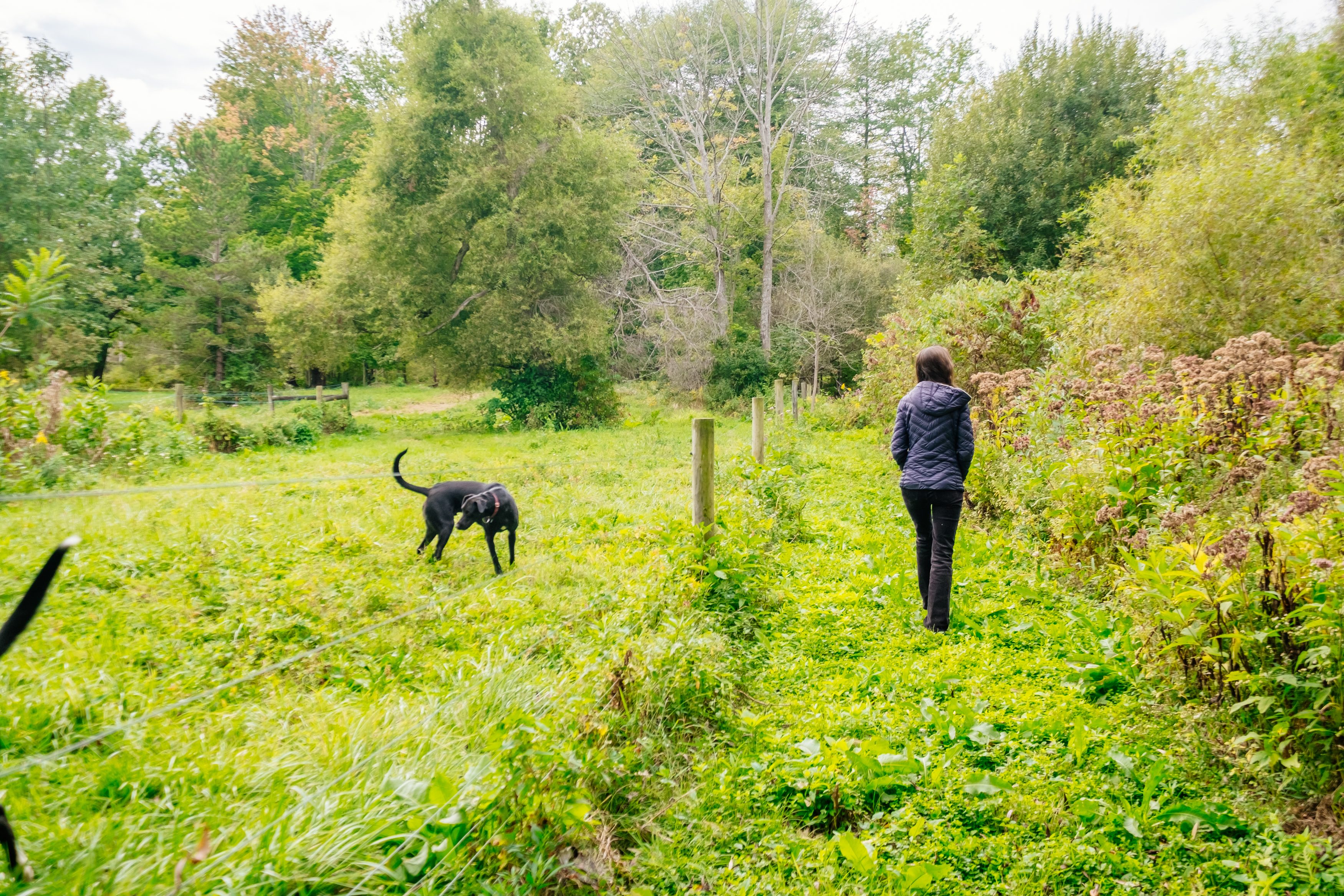 Trail adjacent to the property.