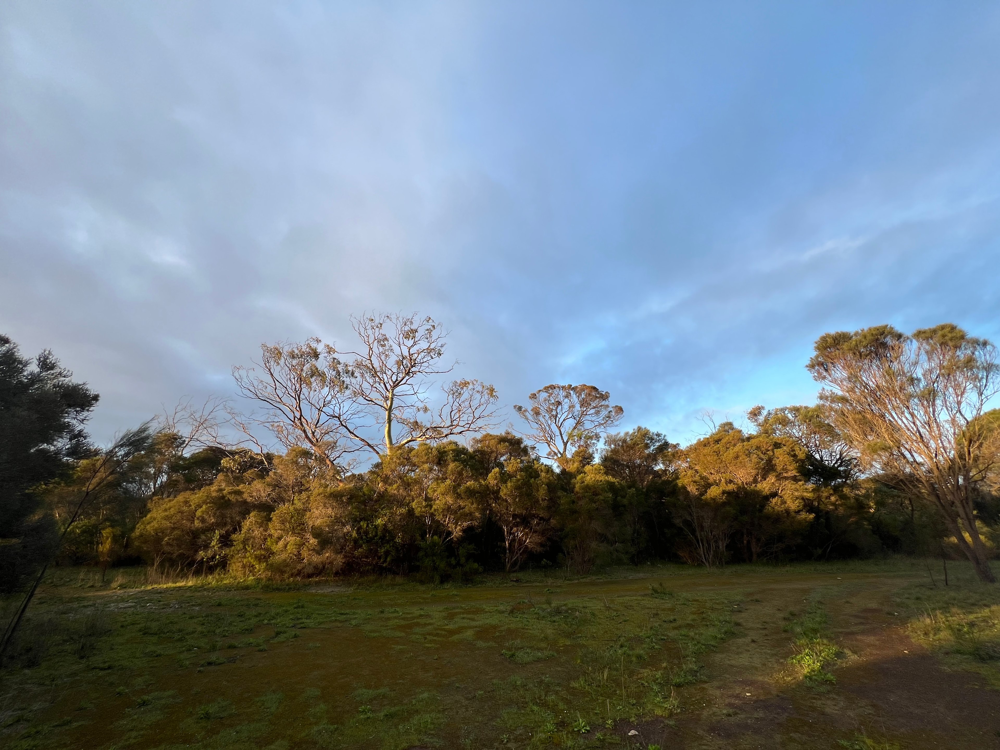 Red Gum Park