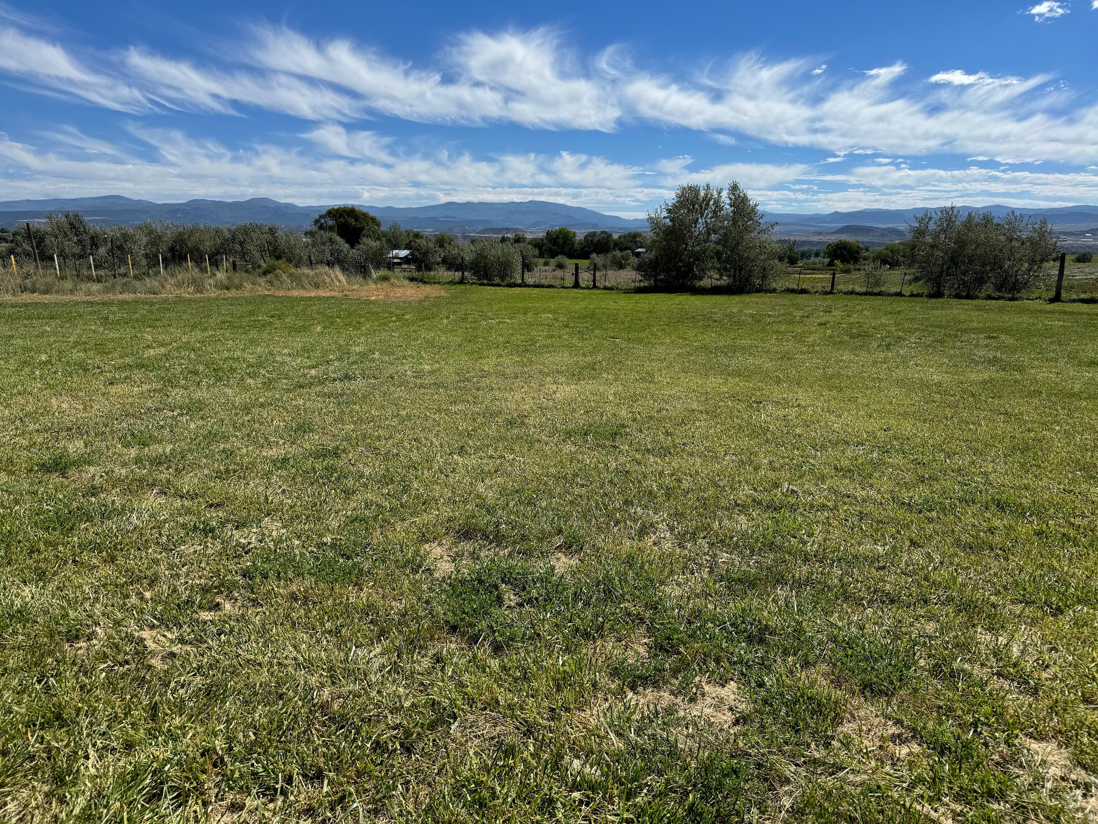 Rowdy's Acres