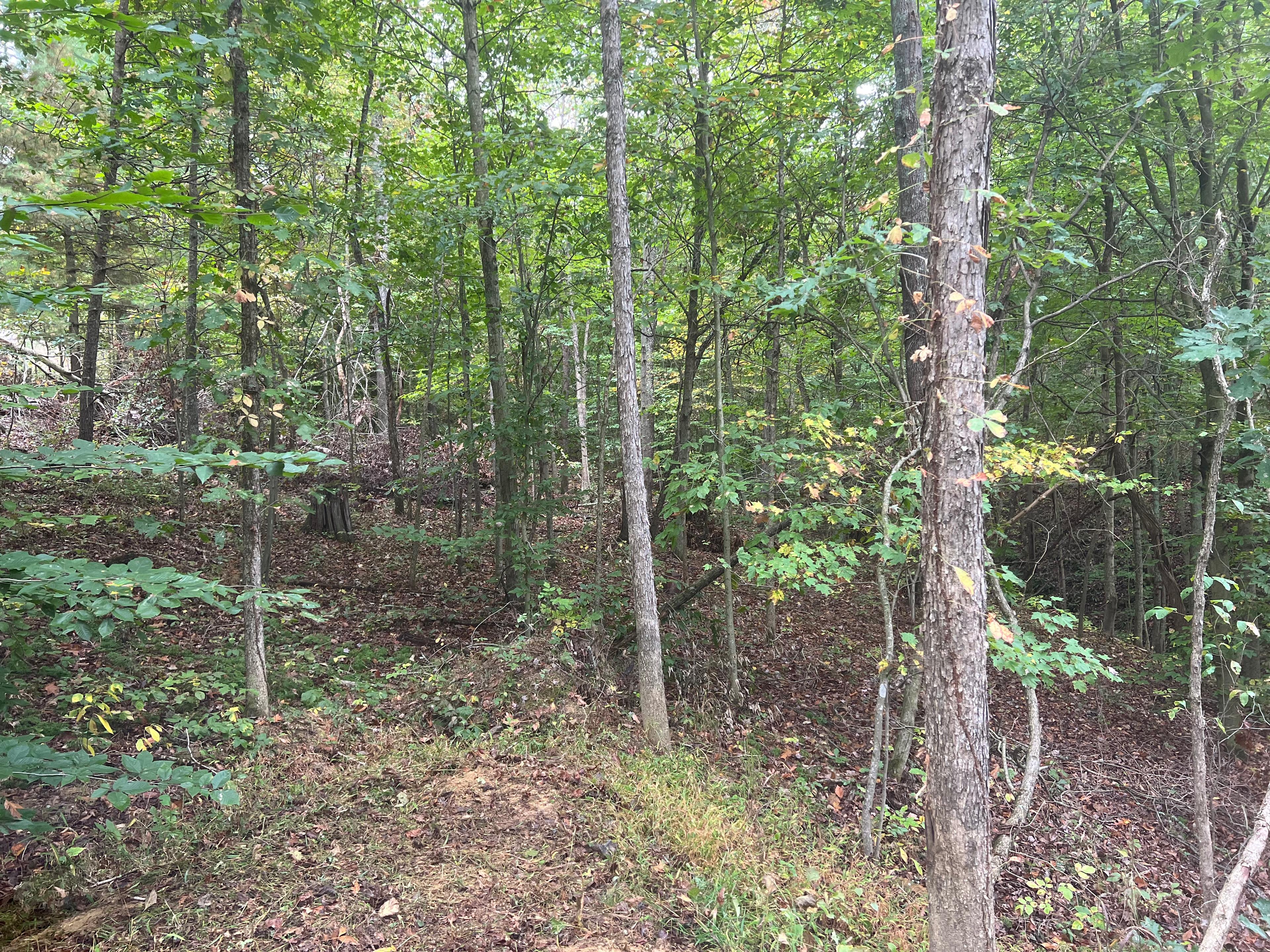 Bowman farm