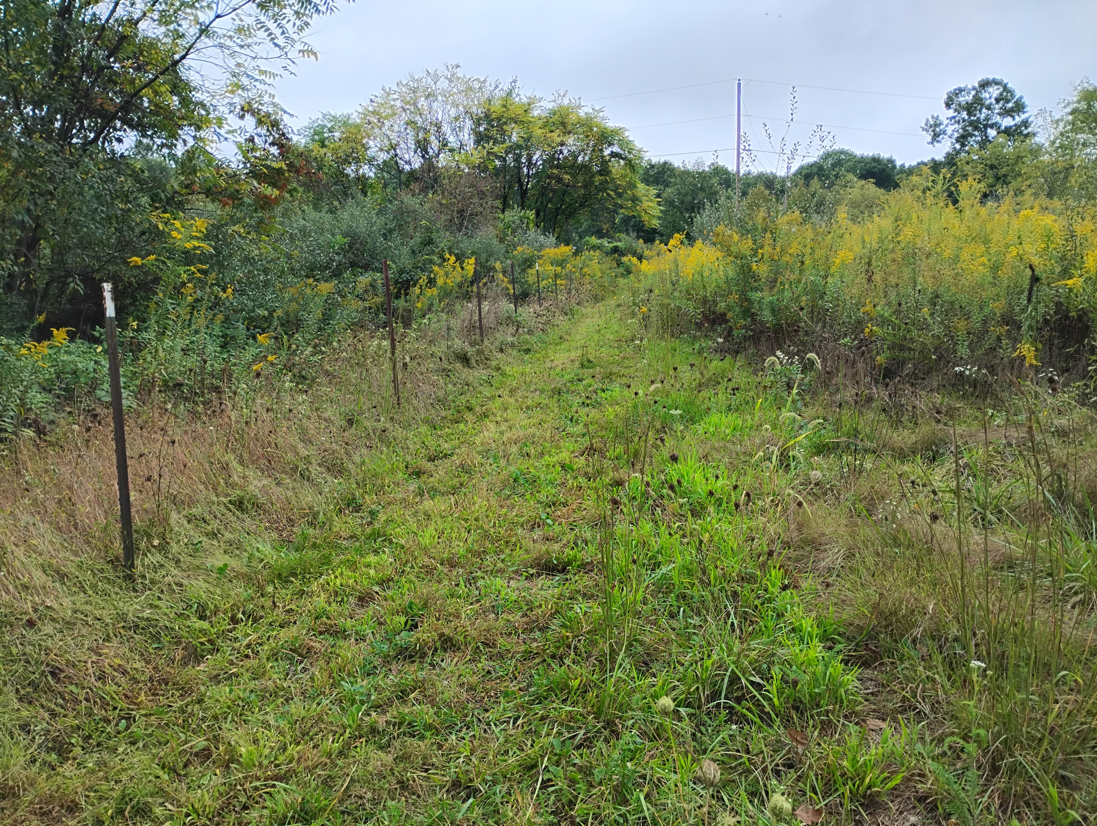 The Farm at Millwood Drive