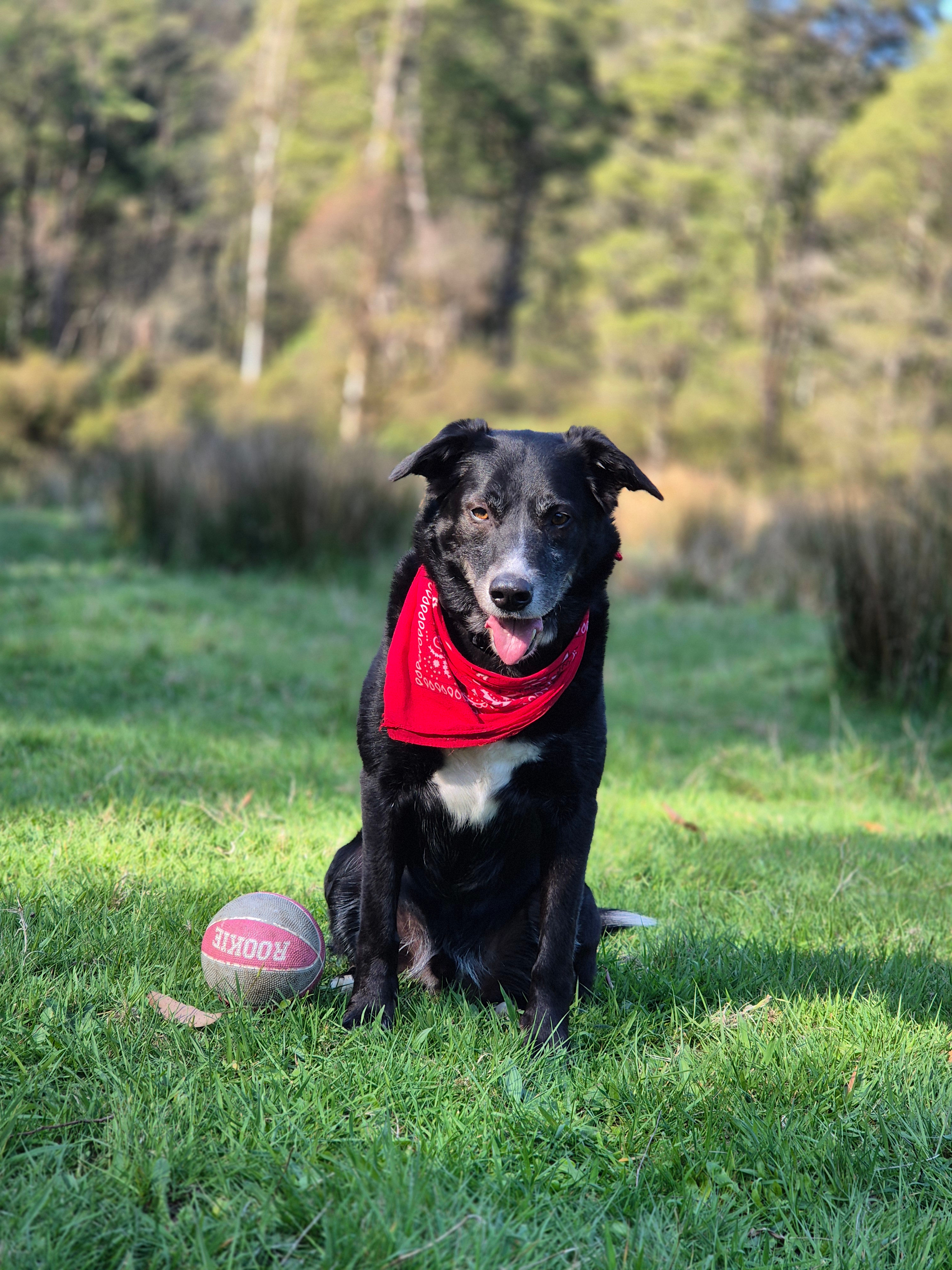 Organic Farm & Riverside Camping