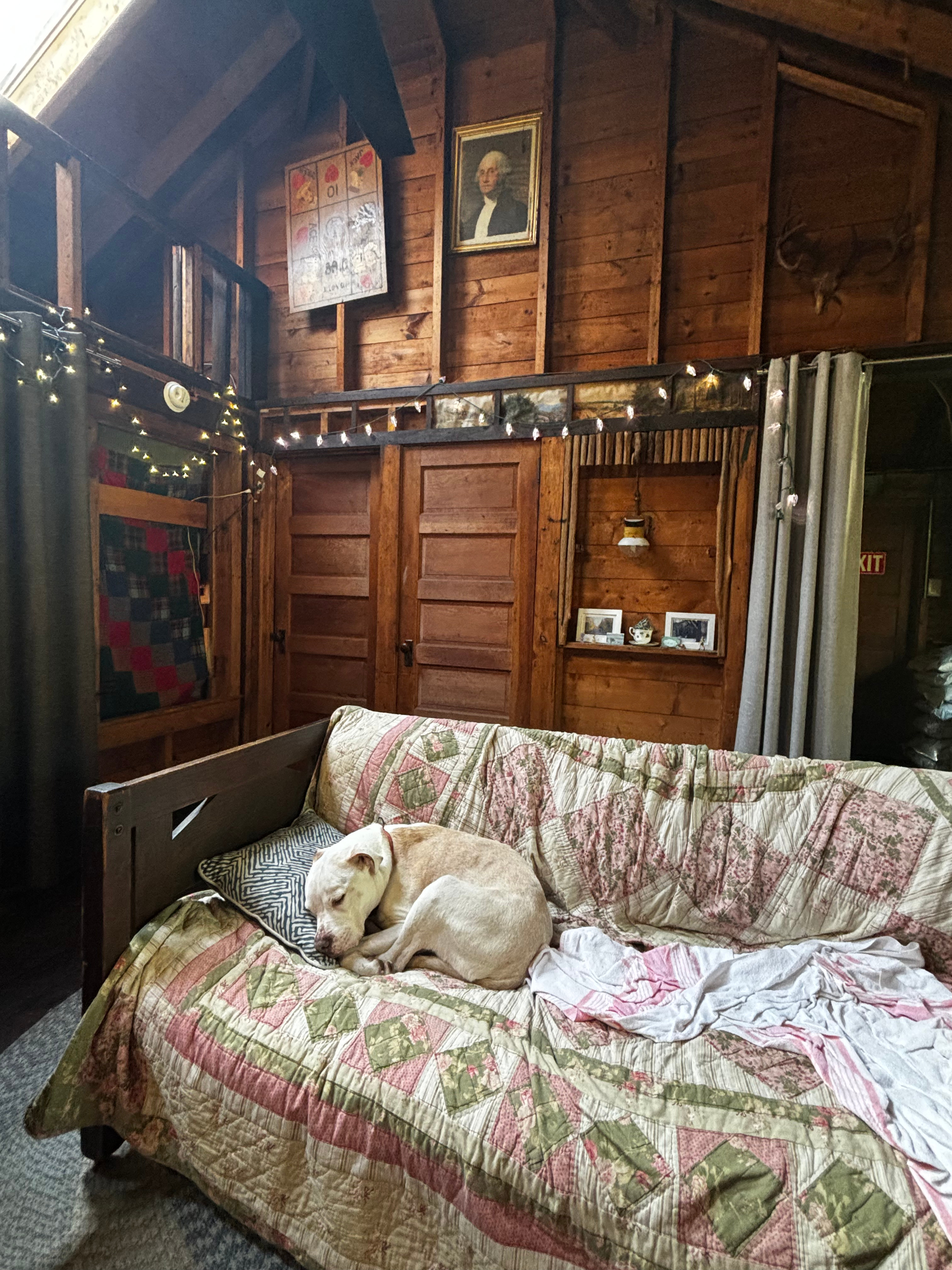 Adirondack Cabin for Unwinding