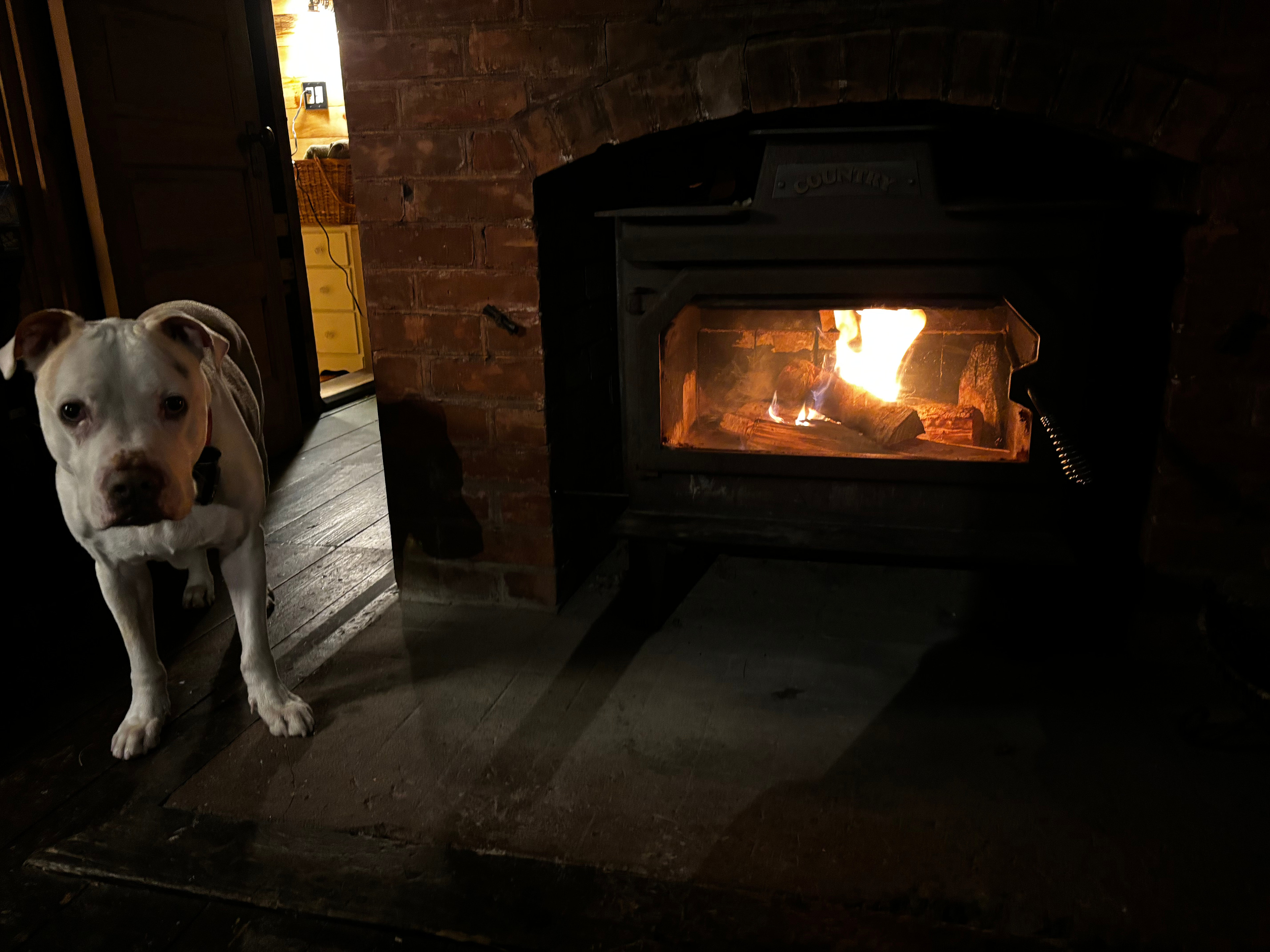 Adirondack Cabin for Unwinding