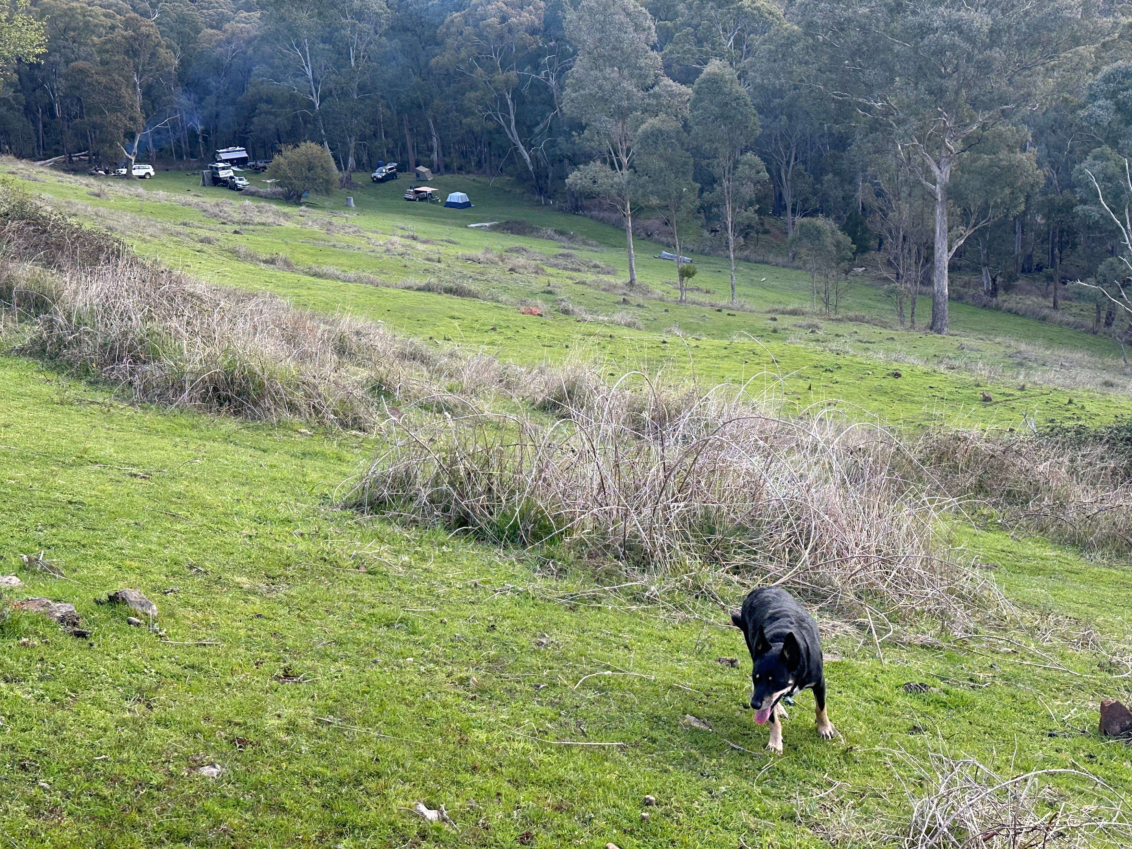 View down to the camp