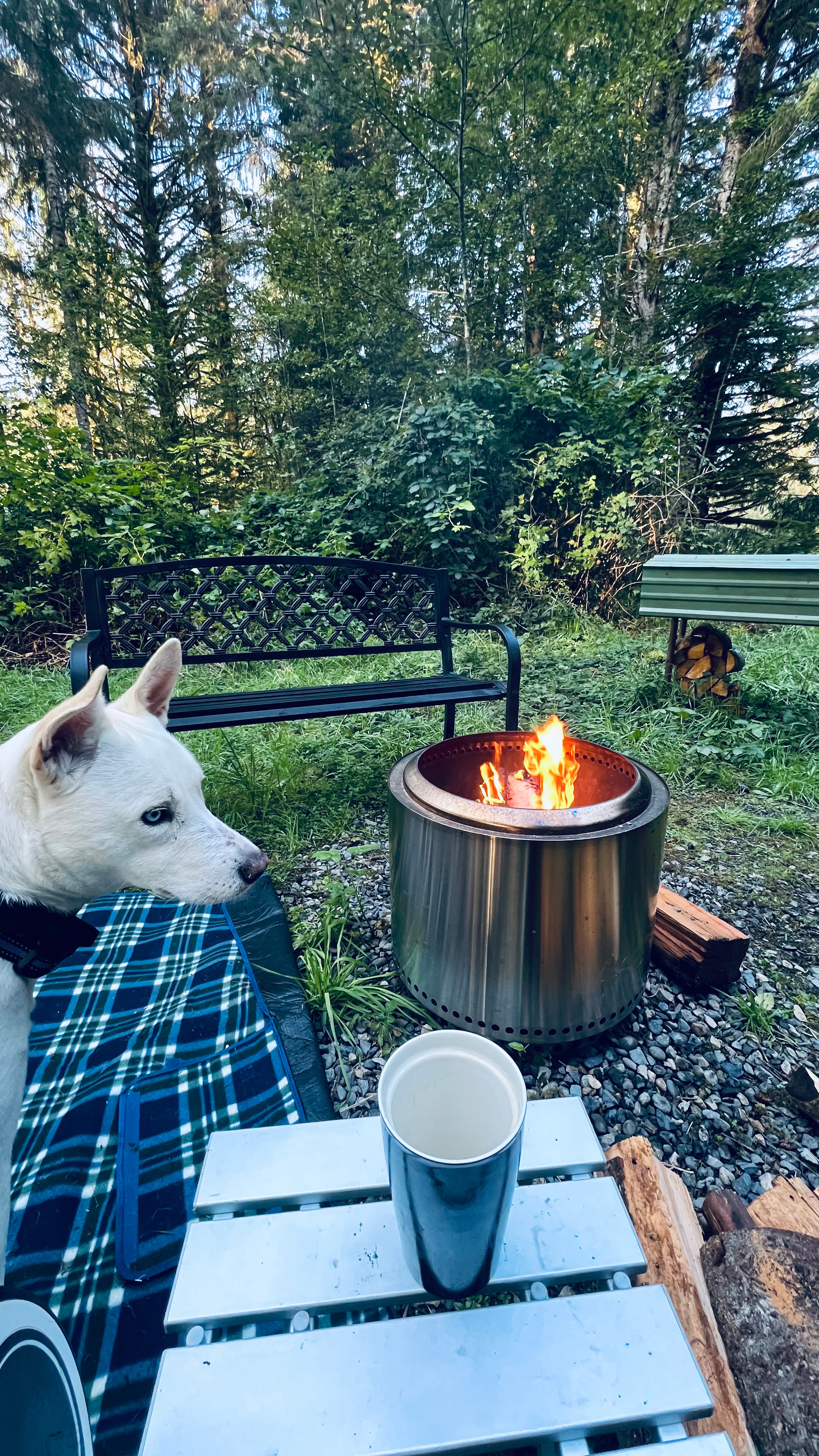 Sol Duc Waterfront