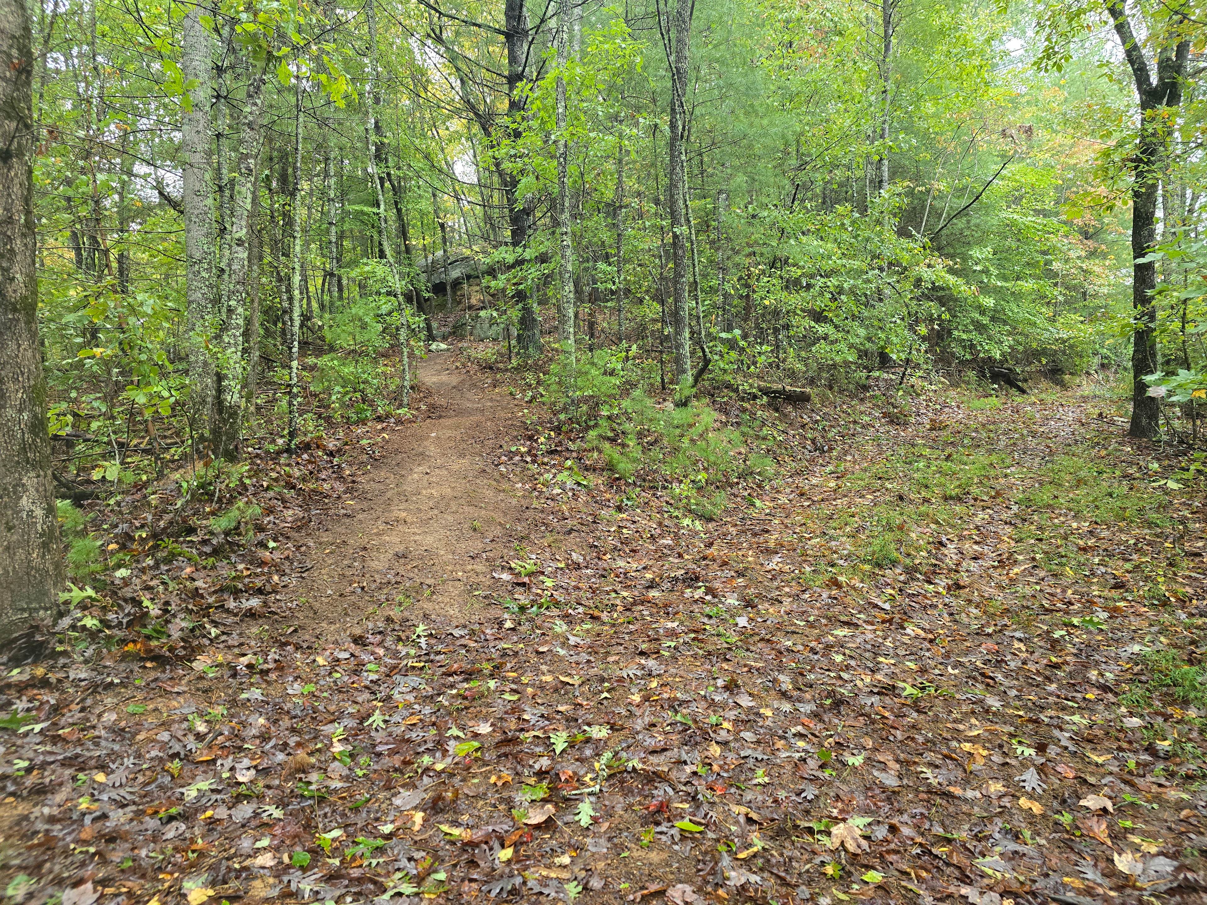 Parking area and path to Primitive camp site #1 on the left