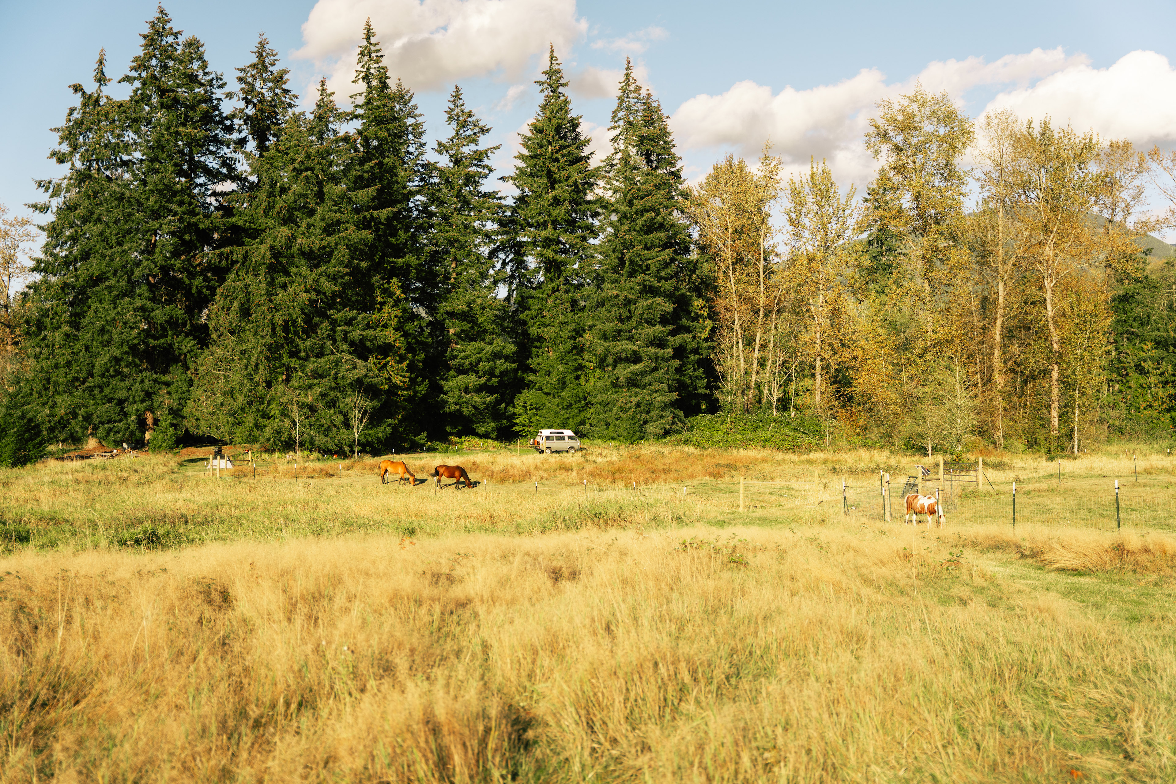 Lots and lots of land!