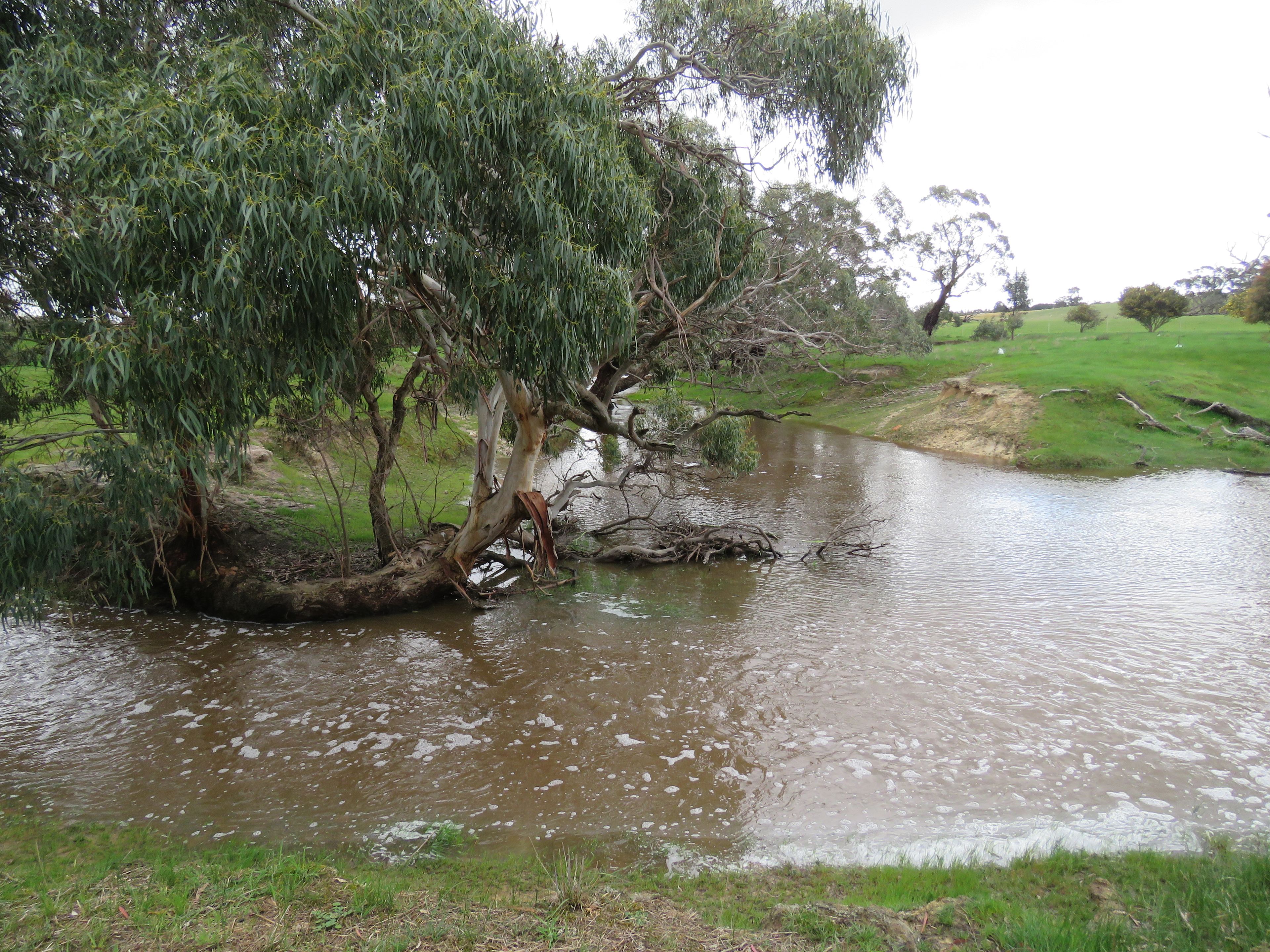 Tea Tree Creek  Bush Camp