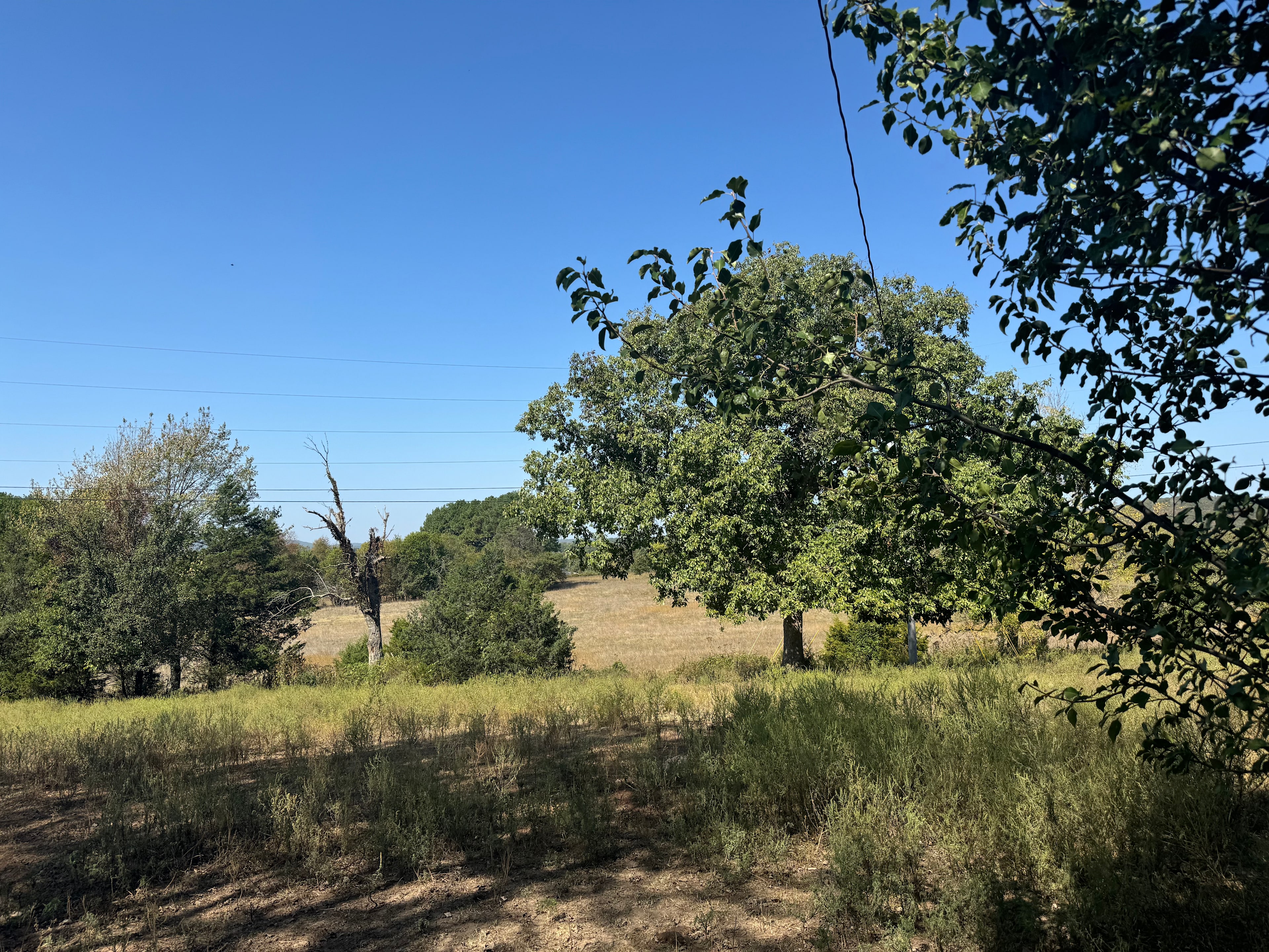 Ferguson Farms