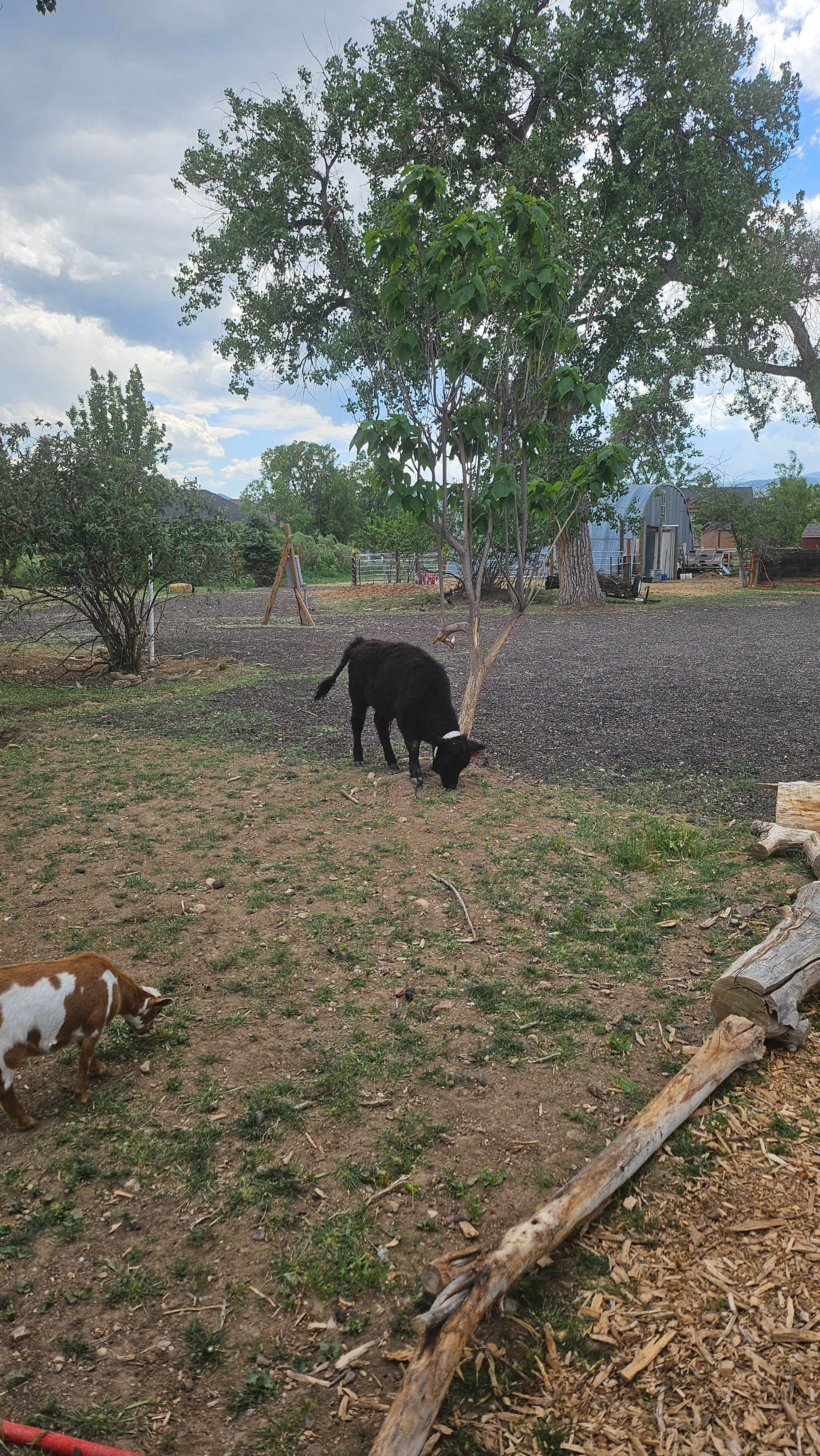 4 Season Marketplace