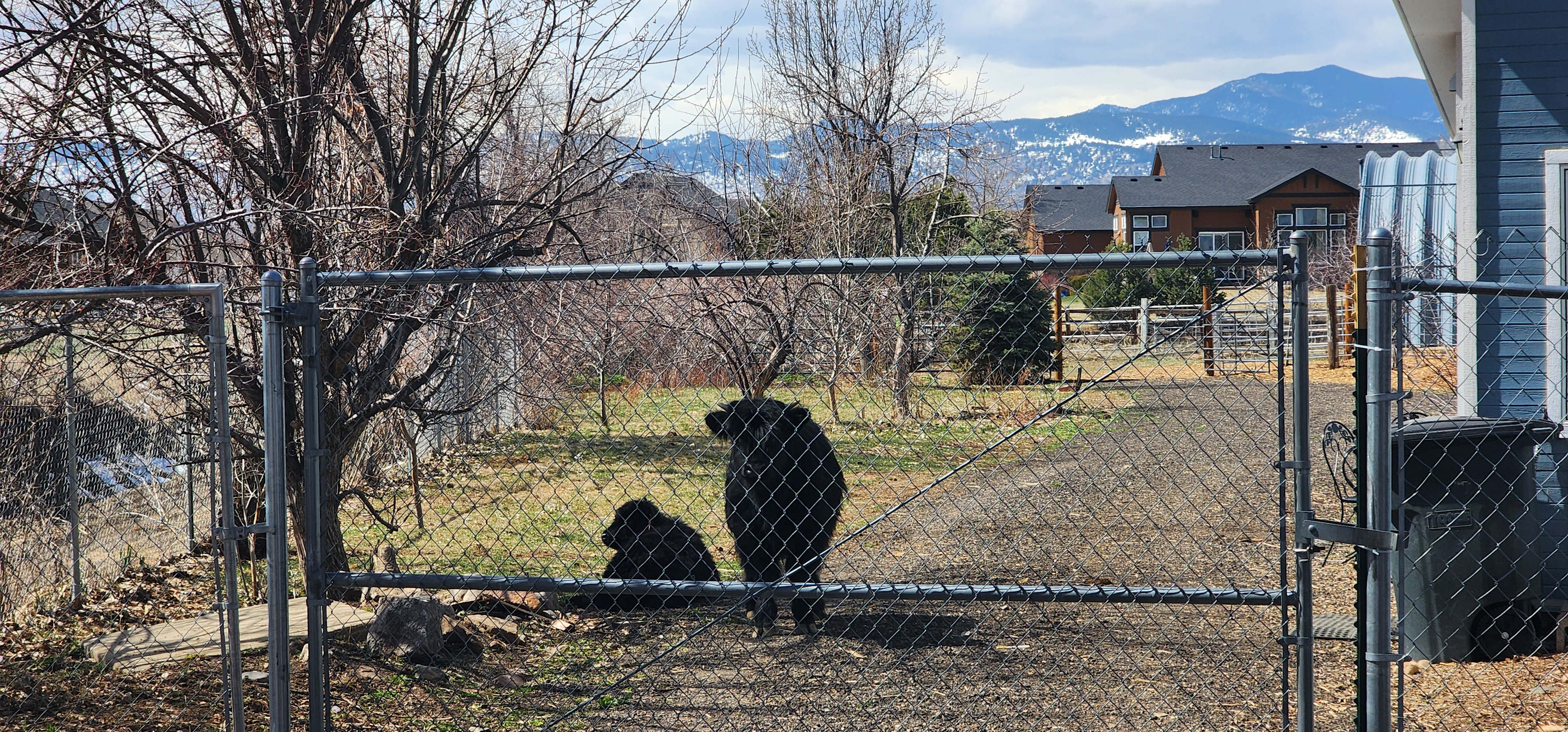 4 Season Marketplace