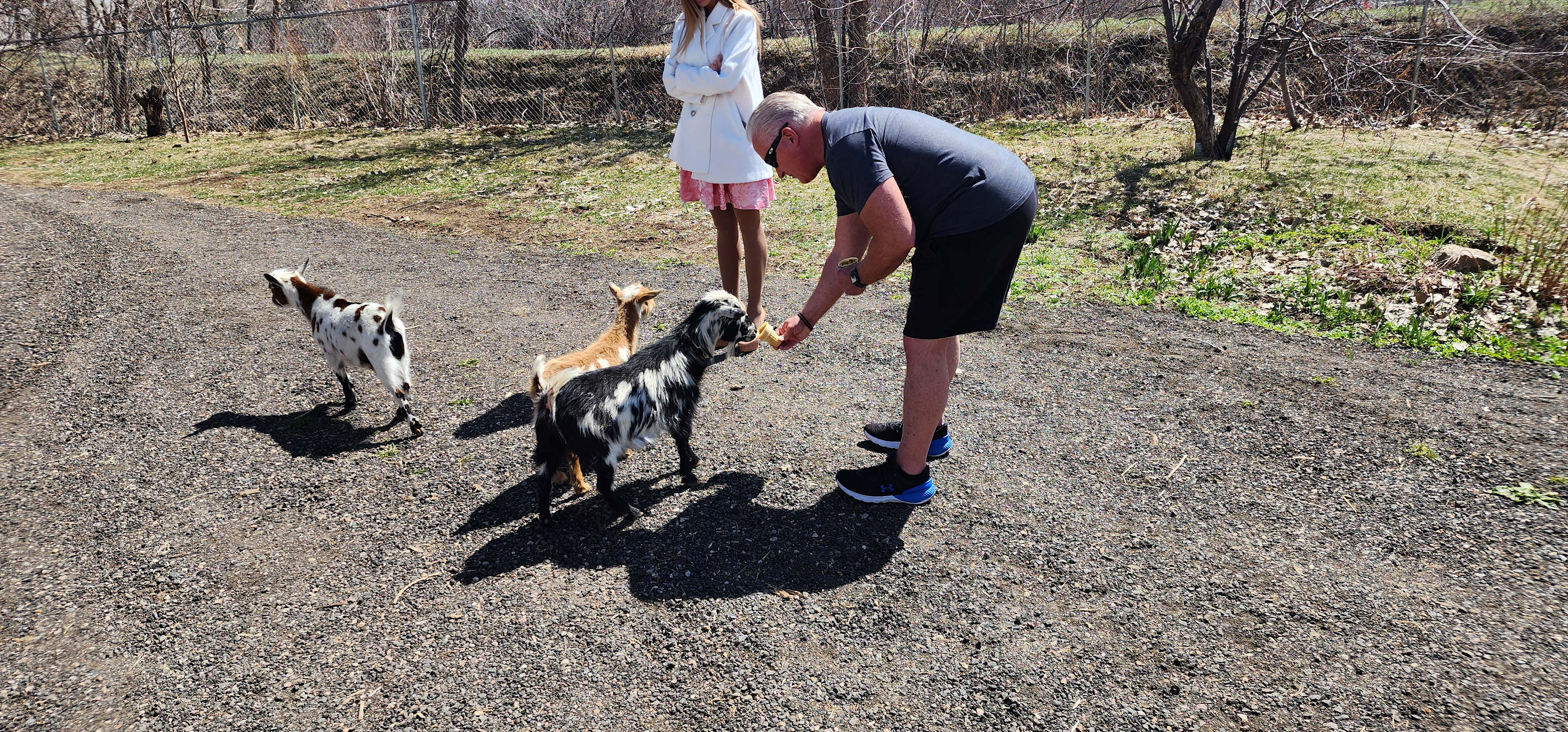 4 Season Marketplace