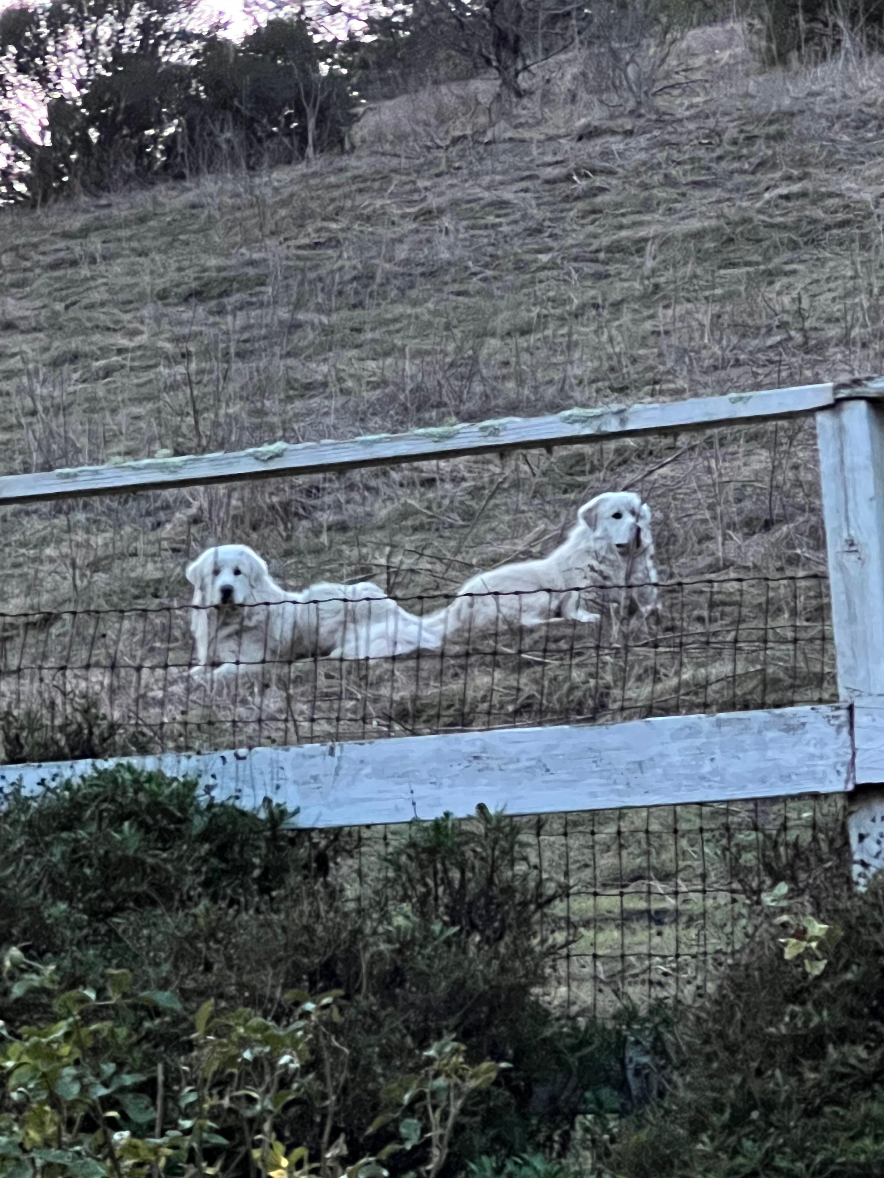 Moon Crest Valley Ranch