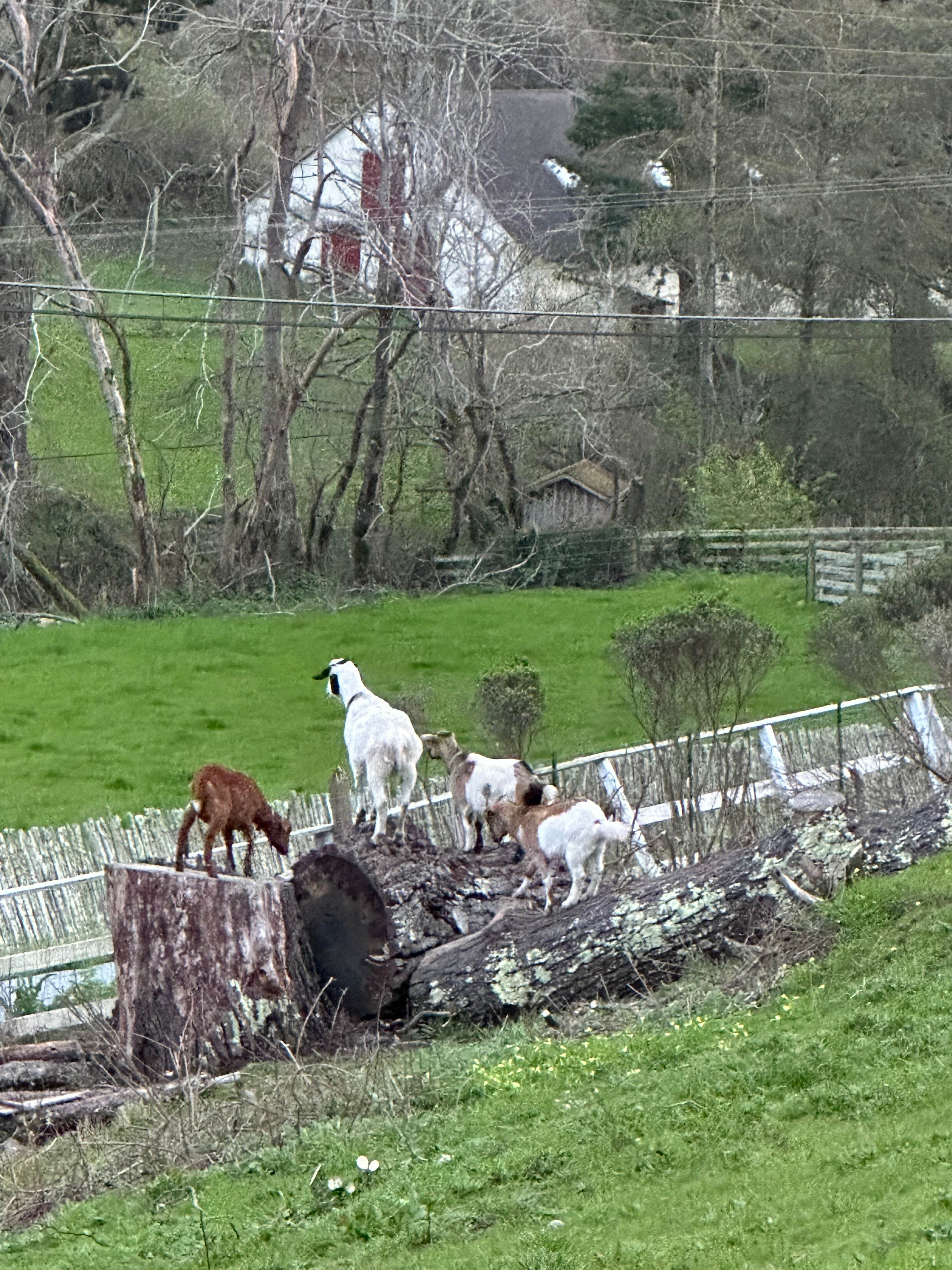 Moon Crest Valley Ranch
