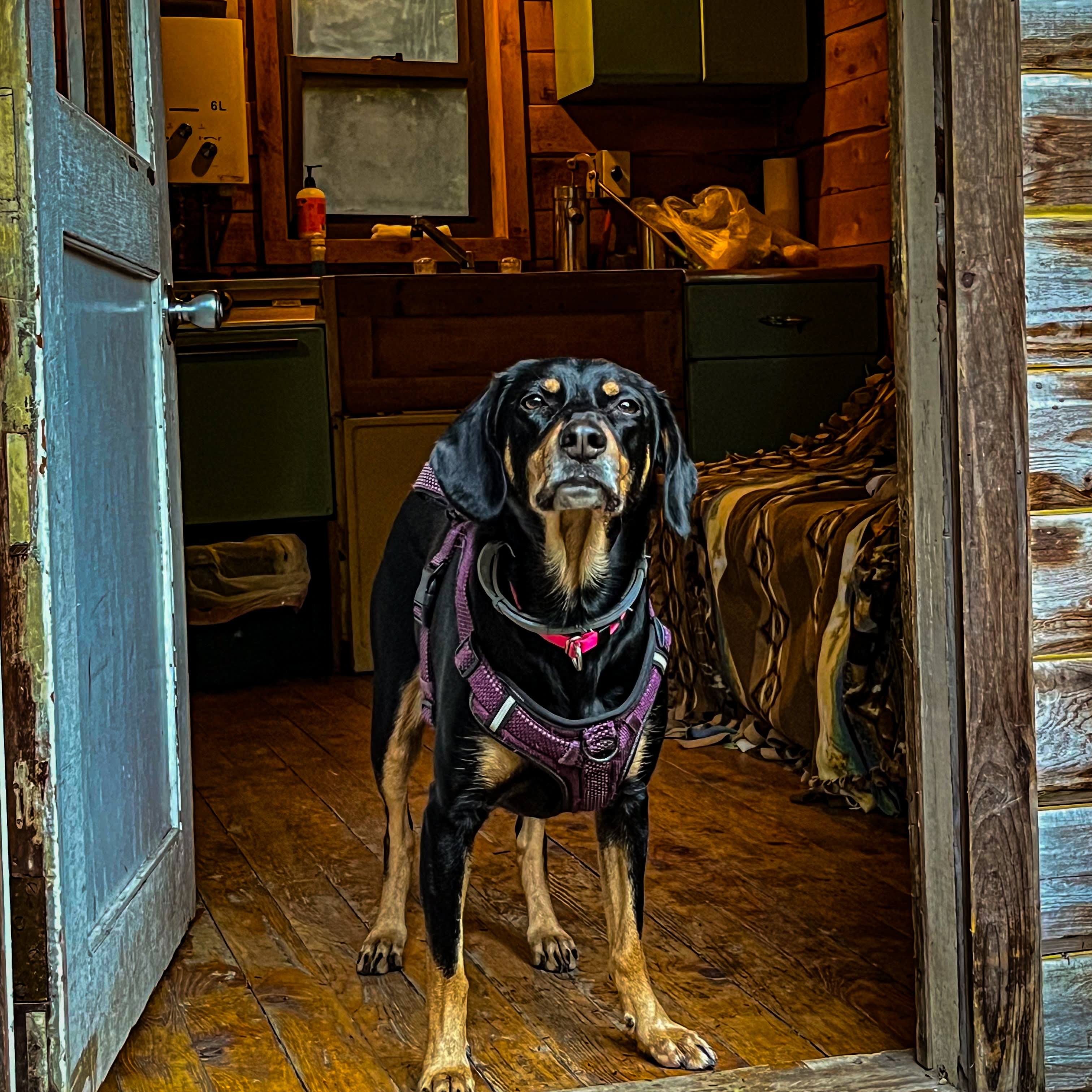 Little Log Cabin in Vermont