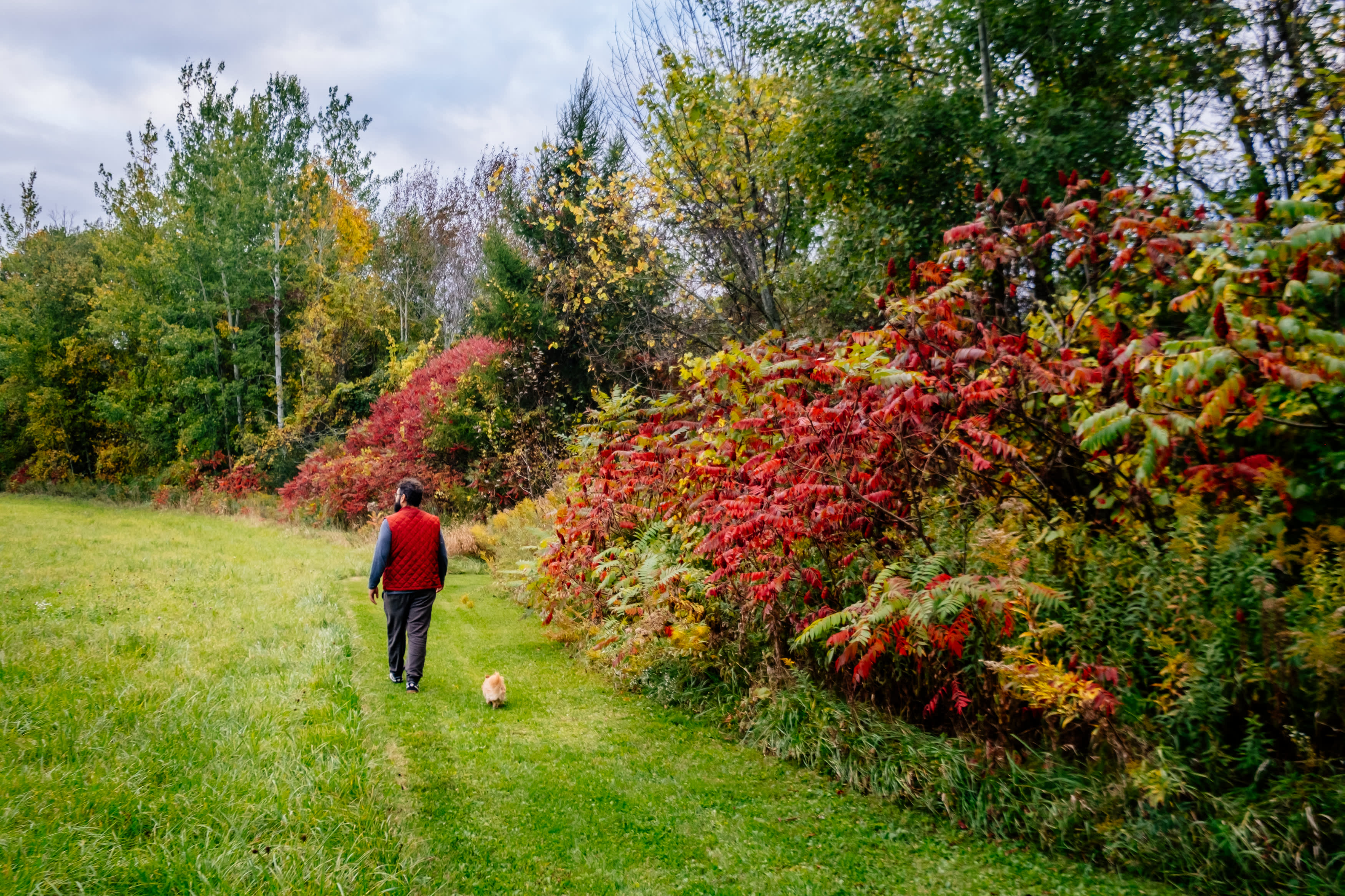 The path to the pond.