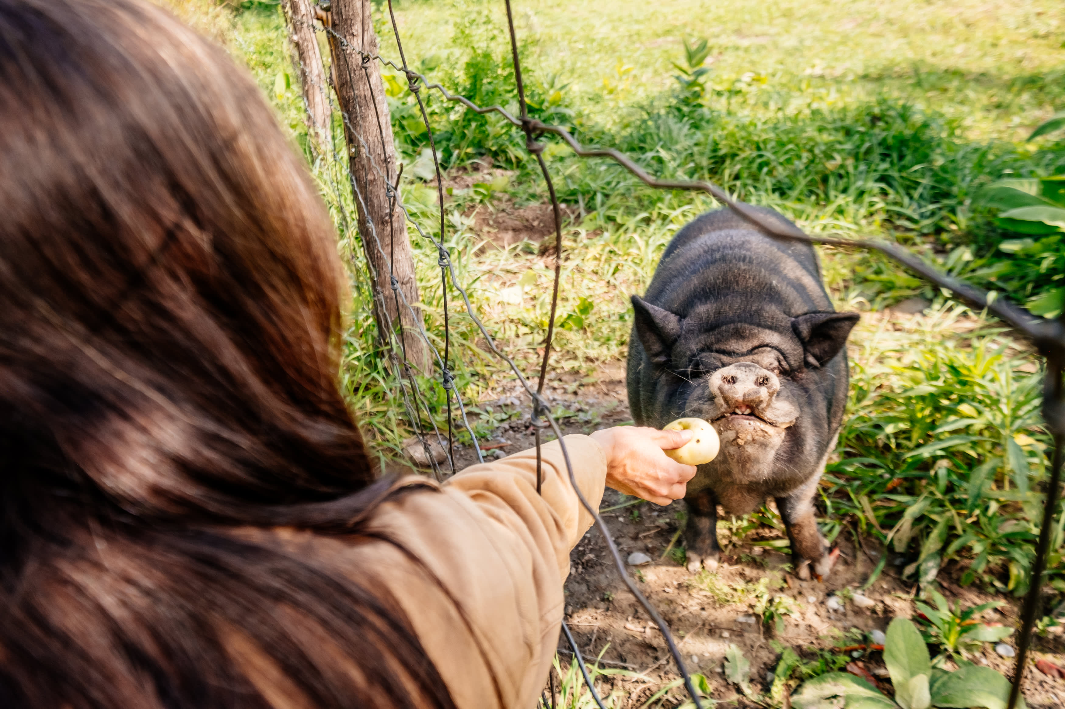 He does love apples.