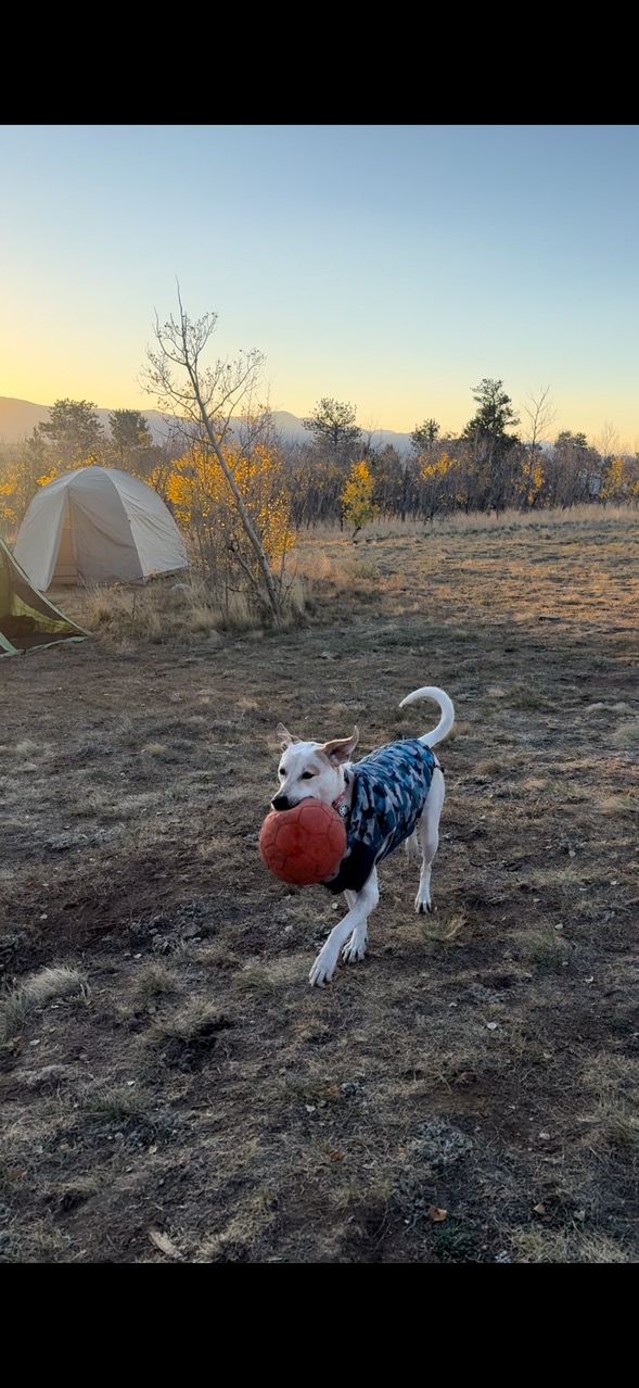 Gypsy Mountain Camping