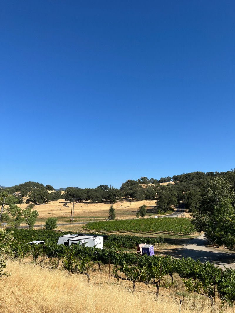 Duncan Peak Vineyards
